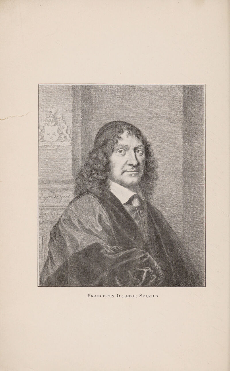 FrANCISCUS DEREROP: SyEVIUvS