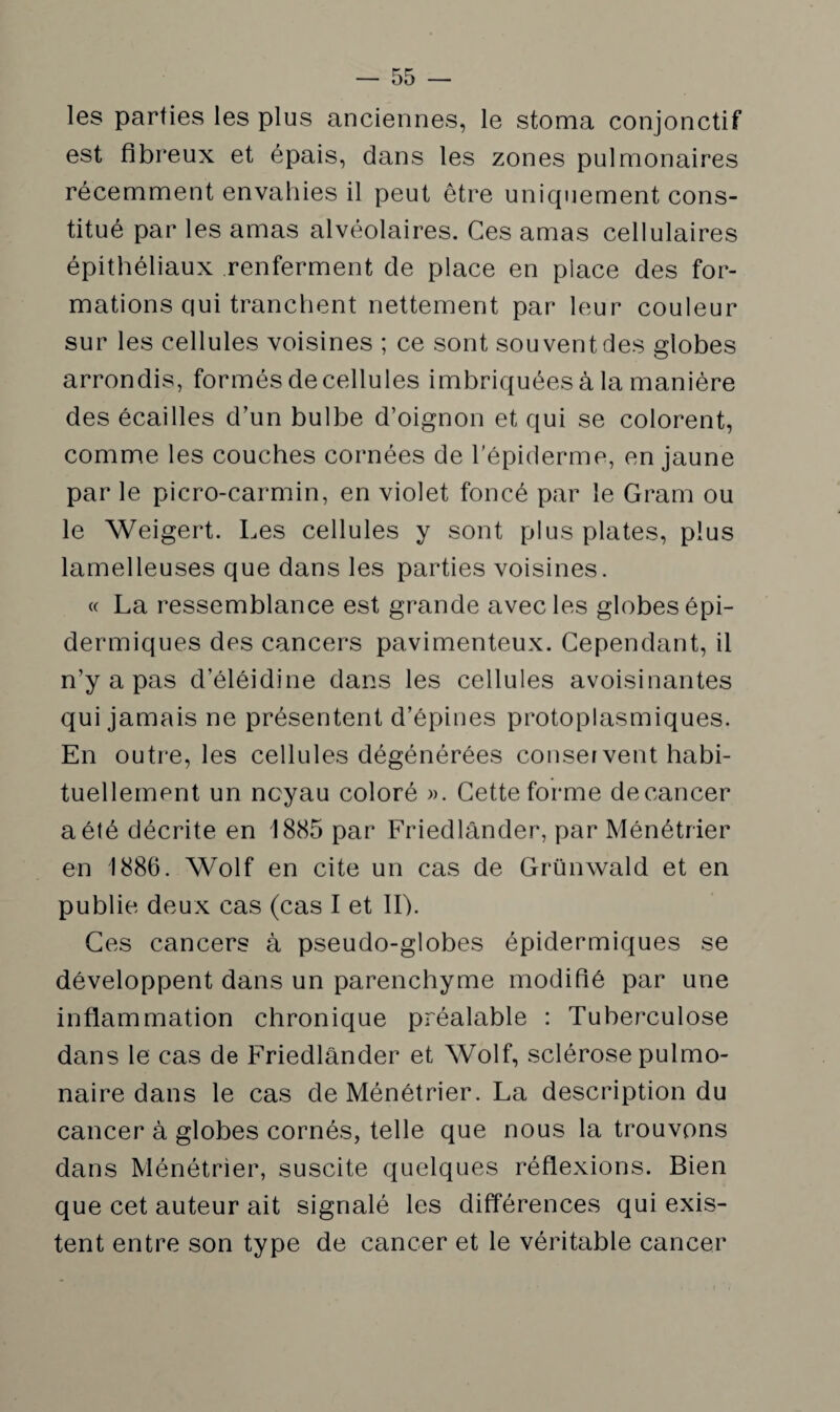 les parties les plus anciennes, le stoma conjonctif est fibreux et épais, dans les zones pulmonaires récemment envahies il peut être uniquement cons¬ titué par les amas alvéolaires. Ces amas cellulaires épithéliaux renferment de place en place des for¬ mations qui tranchent nettement par leur couleur sur les cellules voisines ; ce sont souvent des globes arrondis, formés de cellules imbriquées à la manière des écailles d’un bulbe d’oignon et qui se colorent, comme les couches cornées de l’épiderme, en jaune par le picro-carmin, en violet foncé par le Gram ou le Weigert. Les cellules y sont plus plates, plus lamelleuses que dans les parties voisines. « La ressemblance est grande avec les globes épi¬ dermiques des cancers pavimenteux. Cependant, il n’y a pas d’éléidine dans les cellules avoisinantes qui jamais ne présentent d’épines protoplasmiques. En outre, les cellules dégénérées conservent habi¬ tuellement un noyau coloré ». Cette forme de cancer a été décrite en 1885 par Friedlânder, par Ménétrier en 1886. Wolf en cite un cas de Grünwald et en publie deux cas (cas I et II). Ces cancers à pseudo-globes épidermiques se développent dans un parenchyme modifié par une inflammation chronique préalable : Tuberculose dans le cas de Friedlânder et Wolf, sclérose pulmo¬ naire dans le cas de Ménétrier. La description du cancer à globes cornés, telle que nous la trouvons dans Ménétrier, suscite quelques réflexions. Bien que cet auteur ait signalé les différences qui exis¬ tent entre son type de cancer et le véritable cancer