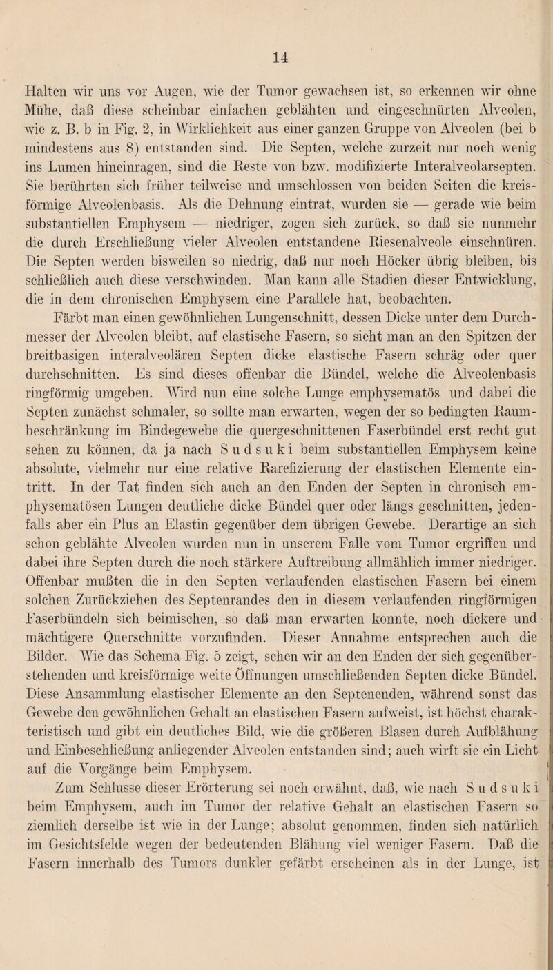 Halten wir uns vor Augen, wie der Tumor gewachsen ist, so erkennen wir ohne Mühe, daß diese scheinbar einfachen geblähten und eingeschnürten Alveolen, wie z. B. b in Fig. 2, in Wirklichkeit aus einer ganzen Gruppe von Alveolen (bei b mindestens aus 8) entstanden sind. Die Septen, welche zurzeit nur noch wenig ins Lumen hineinragen, sind die Reste von bzw. modifizierte Interalveolarsepten. Sie berührten sich früher teilweise und umschlossen von beiden Seiten die kreis¬ förmige Alveolenbasis. Als die Dehnung eintrat, wurden sie — gerade wie beim substantiellen Emphysem — niedriger, zogen sich zurück, so daß sie nunmehr die durch Erschließung vieler Alveolen entstandene Riesenalveole einschnüren. Die Septen werden bisweilen so niedrig, daß nur noch Höcker übrig bleiben, bis schließlich auch diese verschwinden. Man kann alle Stadien dieser Entwicklung, die in dem chronischen Emphysem eine Parallele hat, beobachten. Färbt man einen gewöhnlichen Lungenschnitt, dessen Dicke unter dem Durch¬ messer der Alveolen bleibt, auf elastische Fasern, so sieht man an den Spitzen der breitbasigen interalveolären Septen dicke elastische Fasern schräg oder quer durchschnitten. Es sind dieses offenbar die Bündel, welche die Alveolenbasis ringförmig umgeben. Wird nun eine solche Lunge emphysematos und dabei die Septen zunächst schmaler, so sollte man erwarten, wegen der so bedingten Raum¬ beschränkung im Bindegewebe die quergeschnittenen Faserbündel erst recht gut sehen zu können, da ja nach Sudsuki beim substantiellen Emphysem keine absolute, vielmehr nur eine relative Rarefizierung der elastischen Elemente ein- tritt. In der Tat finden sich auch an den Enden der Septen in chronisch em¬ physematosen Lungen deutliche dicke Bündel quer oder längs geschnitten, jeden¬ falls aber ein Plus an Elastin gegenüber dem übrigen Gewebe. Derartige an sich schon geblähte Alveolen wurden nun in unserem Falle vom Tumor ergriffen und dabei ihre Septen durch die noch stärkere Auftreibung allmählich immer niedriger. Offenbar mußten die in den Septen verlaufenden elastischen Fasern bei einem solchen Zurückziehen des Septenrandes den in diesem verlaufenden ringförmigen Faserbündeln sich beimischen, so daß man erwarten konnte, noch dickere und mächtigere Querschnitte vorzufinden. Dieser Annahme entsprechen auch die Bilder. Wie das Schema Fig. 5 zeigt, sehen wir an den Enden der sich gegenüber¬ stehenden und kreisförmige weite Öffnungen umschließenden Septen dicke Bündel. Diese Ansammlung elastischer Elemente an den Septenenden, während sonst das Gewebe den gewöhnlichen Gehalt an elastischen Fasern aufweist, ist höchst charak¬ teristisch und gibt ein deutliches Bild, wie die größeren Blasen durch Aufblähung und Einbeschließung anliegender Alveolen entstanden sind; auch wirft sie ein Licht auf die Vorgänge beim Emphysem. Zum Schlüsse dieser Erörterung sei noch erwähnt, daß, wie nach Suds u k i beim Emphysem, auch im Tumor der relative Gehalt an elastischen Fasern so ziemlich derselbe ist wie in der Lunge; absolut genommen, finden sich natürlich im Gesichtsfelde wegen der bedeutenden Blähung viel weniger Fasern. Daß die Fasern innerhalb des Tumors dunkler gefärbt erscheinen als in der Lunge, ist