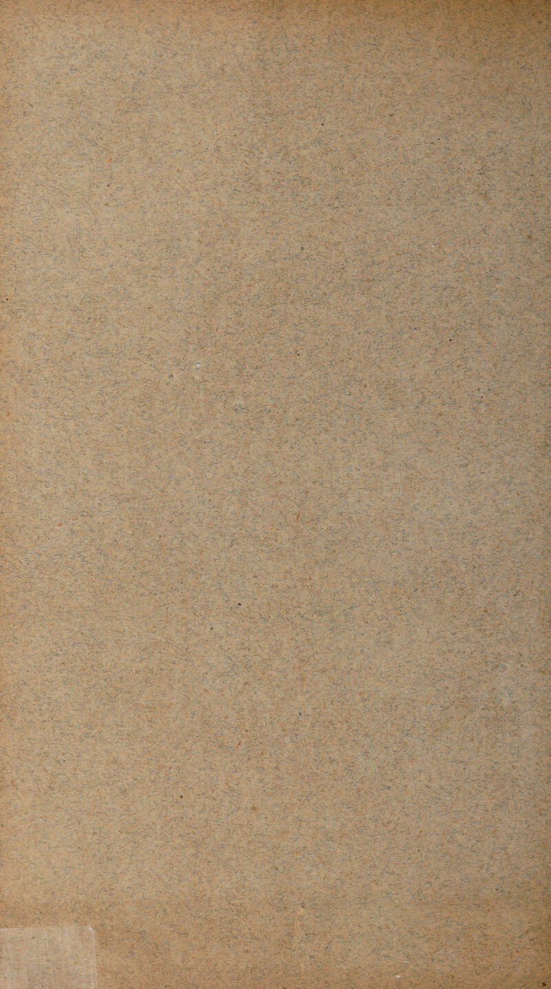 : ■ _ ■ ^ yyy : , ' / ^ , ■;•• r.S£~: ■■■ -r ■■■. - .-K., ■ 1 ■ ■■■■-... - ' f* . ' ■ .i ■ -, ' . 7 . & V-- ■■ , -, ' . c .'■ . *■. o . v- >3s>A- -y- . • —. yw’.vy'vyy - - .:-z ;>i: U-TV-. v* ..-Æ-, ' i-y. *7 y ' .■ ... .y-u v&rr* r-T- 5* yy,. ^ .. V s - c r  - . .„. ■■ ' HH*;- .-’iïï - • - ' • ' : - • • ---' v' ' • ' - V.; — ■■' *-» ; . ■ . ■ ~ • - • ■ - . '-V V : - A *% ' V. . ■ -_. - .. . - •••• ••. ’ -, .. •j - y- ■■/. . > m r t'vV.' ;5^- >è^' ■r. w>,^jbi ■ g ■ - ■ . . - ' > • :V ’:, -s . . ^7- :$£ -, <-r -- •/-. ■w_*“35';* *\r- îr r.’. . • ; ^ y?yfyr %w: , y y y*. r- t. ... ... .. .. . - «r •**4'ÎP',‘ rr1 ■ IIP^Ws^. -rf~ • '■ - \ ‘ - ‘ ' . * ' ; ' - 4 . , ■ . >• . ; '. - . •- V.--.'- ' . . . -.-. -••' ... ^r> --. . % '. - T; . : ^ ,:r - - • • ■ . ;■- ' : -■ ■ . ' ^ r , '■ -... - - ■ i .:-W .. y». . ^ :'^rîL'< - v-. «: -%•- - H;'^7 -v- - ... . .. . .... •_• . .. . V '. :£,; - -, ’v.. _ ,^0-V . ; ■ - - - \îA--.7 v-fv ‘-T. ’-J.-f * rv.V-: ■ ; ' : 0g . ' - ' i ■ ' l * ■ -■-•' -, . - • .1 -. .. ' • - :.. r ^ . - . -v. '-'i = •' :.■■■■- •• .--... .»> - .. . . . . ... ,, V •l;,y?SjÎ£w '-■< .* -, • -rV^.W: ^ vi? ’ J ♦ ' ,7 ^ ' J J '~',r >rf: . - • • - ... .- i , > . •- “a - . . ' ' ^ • V' ' ^ •' ^ •■7 V ^ ■ - - 1 . * -f T-' ••• ••• “ ■ ■ . : • ■ ' S ■' . .*v,, ... . .. - ...^ ■ ..y . I ''r9: •v.cr^: '■ .; ' \ V. '.y': - ‘r ■ ..... ,. .. v ':. ■; -. ■ :■•: ÿ.,. .:■ >• ; • ?•'•• •• -1 ' ■>-'■■• v • . -.. , ---. •»■ i.V- » ' .._ - >1- •■ .. . * - - « • V- ^ y ?>-£& ....... |L fe ..y -p.. :• M t . • ■■ $ - - ‘ • ,-■ - • .* r’ ï'Zw'sAC: -- - - ■ •: ■ •-• ■ - . ’ ..... ... • . _ - . - - - -V- • -'KlAt ■:-. ••; X .-.. . . ~ . - ' : r' .-•■VtC • . ■ . :- • . - » '• • •: •- .-••••*?'• - / • ,vwv, i ->. ? »r >V-.- y;. . :\~i- -,.w' ^ i. ^..w / , -- - ; . ?'■ îïy. j . ..-.'. : •ÿ'* —;..  .r- % ^^— -^é *■./■' t- ■ ‘ - ? i .J.-;- y -■ r . - ly Vv*.' '. '-'te Vi- •?«--'• •> • * -r-. /A .y\C^'y-'£i ,7V-: •:.W Ifflv v:;; -:.f '■ V&J s* ,-'.v . '• * v . . - y; ^îvï-' '.'ri s - - ^ ■■ y • ■y>v. . • . /7 ■- yyy ■■p *. . ' : ■ ... .. . :i‘-- ,' ~ :■ . :. i S5^r . -v-v ■ -ir- ’ j'.- 1 <T- J^ >P-o - . -•-Ès ? ' ' / • V ' - ••- -* ç. ■ y- «5 ;•<■. , -V:V 7-* • ✓' ^cT- ^-«7 ‘ - . .. ' ' - ' * ^ . ' . ;■' -•' ;.'- --V' “ ï\<; - >cPt a.■•*-•- . , •—...y. y,-..'. ^ -> . f-.-! ' •.'- • Sriï«-. J1». .y-r-.,.: ^7'--: :’cp ..:.3-pv.. • y v ;vr,- f.,;. -, • - - . ■VMi --'.-7-7'’ •s /,-y y ■ îjfêS'&’s- y*?;' r;. v-r ^ ï ï£y y*y!i*Ë^s8& yïyx \wr r-7-, y.;:'&■ y- . y>v,4*yX i- v^-,.,-'v-. y. -y . ; *• -y-y' 7.-' .V, -, - .-?■ ’ J y^P . v...... , c ; ?ïr ' ,Î^.JV ,-w. , <y.. ViT ..7.r yV ' s>~-tSVu-.- • ■. •’*-rr ; , /*<?-}-' -G~x- '«.j ^SjtcïS - > -, - ■k.•• .. • -y, y ■'KiZy;- y ■£/,. i-cf,' - y^v'y'y^ ... -, y Va r ■- -y . à-- ... y ; <., ■ - ' - '•■ ■ .. . -- ■ - ■ -,y . —y •: -yy, -'s- ^ ' •' ••■if - . .v .-'w ■ \S y '  ■ . ;••'- : - 7P.-Â.7<.:-7-^vy--.yS-7‘ÿx : ' ' -, '■ .. ...-y ; r >■% t 'y,. -■ . .. • >- .. -...- , , . *: : : - ‘ - -, .. 77.::.V • . ..P - m y» • ■ - s -a>v v- e, -j y ■ , » , I -, . • ; y. , ÿ: -■ ' y- ' ■ - -À .,i. - '-y-..-- - - ■ - - -v, ■-, ;y ; ksp,77 •7rym^'V.7^--.Pvy. 7- • -• - ' ‘ 'tSti. . - - ' ' ' . - ^7:'7-7P7',P, -yP^yy-vpyÿv y ' - v y.. ..r.. y '.y-- -y ;;.-7 ■-■ y' . ■ ■ : — .•-' y, . - .-y, i j ..... - - ' 'y,.''-:r' ^ ' ' ' ' ' ■ * - ' ■ ■ ' ... V..' ’ ' . - .. y--P k'i't y - ..' -; -•■' - - - - - ‘ - . - - •■ . • « ■-- y- y - - - - - - , . 8ÉÉiB&|Pi'“ > y’-- a Xi* . ,< VrV - - ... ■ . - -■ -• - .- ■ ..-y ■ .... J.’ ■ . ■ ■ . : -y. ..... - . - . C .-• y • . . ’ . - ,- - .. - - ' ..; ■ -- . . . . - -• ' - gg?.Vf....:- •'•tr^rC'< -- •— ■ (■ rL'- '■■ ‘V■1 ■ : - - .'V' 'V.. -^-yypy,' '-yciy^y^fruy y ', y., y v ' ' ... - y- - 1 - y ■ y rvy . ; . '.'VH-i-.y. y,.'.. -;t„: y--1-3., . -.-y r-.y.' - -A’ - ’ •'* . i-.P -~P - 4>r -.70.- 7.,. 7: - ^ v: -ÿ.-**. : —P. ••_■• .- - • /• . - • 1 y- ' •• - •-»- *-y - -’.'-c - - ' ' -,y ' 1 ' ' • .' ■ P P,-' • P % ■ ' y. ■ ' tÆ -, ' • ' 'M y. f.L ' • '• /v -1 ■/* •••«•> • » , .,'-•* 1 . ,. >.J-V V ' - - ..y'- •> -1 p.v . y- . .: v7;c''. : $ y -5*-V-- ,-.f • . / y.*- ‘ * ‘ -- >  >Prv. 7v~-'p ;Wï '•'■ ‘ Jv v,' • • r 'y . * ., • -t K% ’--x -V<?yi*f-r j h 't * r.. • ,^'y - ' - ► i’- >.•-.*• :• - -y.’, TPyy'y'. ' C v .y ' r7V, : 'yi.yy> : y-  y •■-■ -, y> - - ■- ■ ., y . .y,-v» . : ' . .. <,-■■■ £ ^v.#! * - :• '•* ' .v*ajj y “y - ■•■■ . •;'-^y y y .• .y- • y. •<' y : -y > ■>. •; . - y • -y. . ' .y-y y , -y . ,P y.'';* >y 4.--,. . , ;:;.y7;y’y;. 1.^4;,''' P' '' . - - . ryy4'<y.:y ■ .-..■ , : '.- - ;..y > p.: , ' lt' 4;>iW'r ’ y ^ 'ss-à -'-w . . vr..-v-\Ari '7 >/ • >• ! % £*b .•''•S ■ l.' .••.VPpt P.:.r 1 ‘•v ~ , r. .. .'. •;.• : ■'vC.Pw - .t*S.- •■y M ■yy;i-y;y-.^ ■ v-.,.,' yy;7