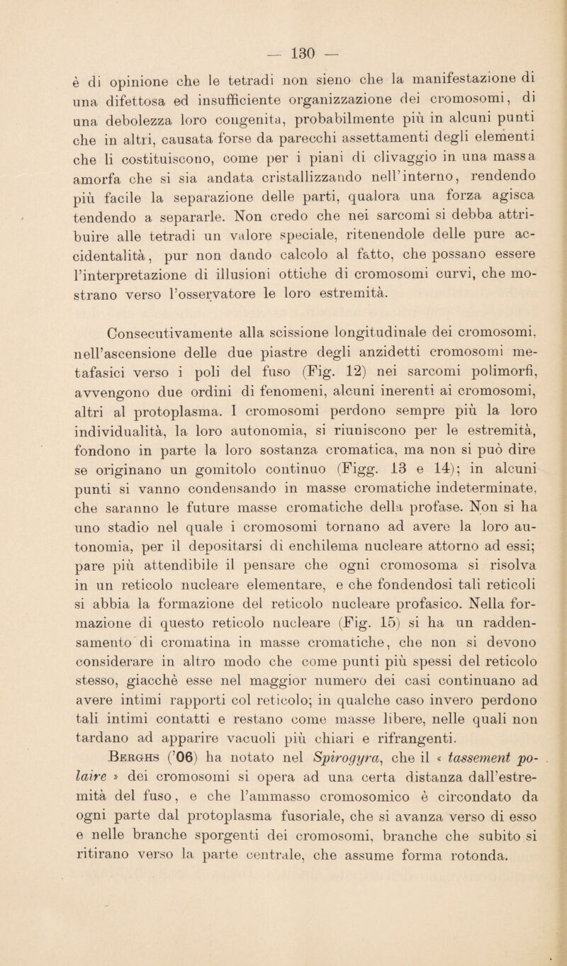 è di opinione che le tetradi non sieno che la manifestazione di una difettosa ed insufficiente organizzazione dei cromosomi, di una debolezza loro congenita, probabilmente più in alcuni punti che in altri, causata forse da parecchi assettamenti degli elementi che li costituiscono, come per i piani di clivaggio in una massa amorfa che si sia andata cristallizzando nell’interno, rendendo più facile la separazione delle parti, qualora una forza agisca tendendo a separarle. Non credo che nei sarcomi si debba attri¬ buire alle tetradi un valore speciale, ritenendole delle pure ac¬ cidentalità, pur non dando calcolo al fatto, che possano essere l’interpretazione di illusioni ottiche di cromosomi curvi, che mo¬ strano verso l’osservatore le loro estremità. Consecutivamente alla scissione longitudinale dei cromosomi, nell’ascensione delle due piastre degli anzidetti cromosomi me¬ tafasici verso i poli del fuso (Fig. 12) nei sarcomi polimorfi, avvengono due ordini di fenomeni, alcuni inerenti ai cromosomi, altri al protoplasma. 1 cromosomi perdono sempre più la loro individualità, la loro autonomia, si riuniscono per le estremità, fondono in parte la loro sostanza cromatica, ma non si può dire se originano un gomitolo continuo (Figg. 13 e 14); in alcuni punti si vanno condensando in masse cromatiche indeterminate, che saranno le future masse cromatiche della profase. Non si ha uno stadio nel quale i cromosomi tornano ad avere la loro au¬ tonomia, per il depositarsi di enchilema nucleare attorno ad essi; pare più attendibile il pensare che ogni cromosoma si risolva in un reticolo nucleare elementare, e che fondendosi tali reticoli si abbia la formazione del reticolo nucleare profasico. Nella for¬ mazione di questo reticolo nucleare (Fig. 15) si ha un radden¬ samento di cromatina in masse cromatiche, che non si devono considerare in altro modo che come punti più spessi del reticolo stesso, giacché esse nel maggior numero dei casi continuano ad avere intimi rapporti col reticolo; in qualche caso invero perdono tali intimi contatti e restano come masse libere, nelle quali non tardano ad apparire vacuoli più chiari e rifrangenti. Berghs (’06) ha notato nel Spirogyra, che il « tassement po- laire » dei cromosomi si opera ad una certa distanza dall’estre¬ mità del fuso, e che l’ammasso cromosomico è circondato da ogni parte dal protoplasma fusoriale, che si avanza verso di esso e nelle branche sporgenti dei cromosomi, branche che subito si ritirano verso la parte centrale, che assume forma rotonda.