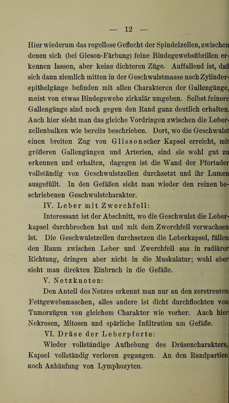 Hier wiederum das regellose Geflecht der Spindelzellen, zwischen denen sich (bei Gieson-Färbung) feine Bindegewebsfibrillen er¬ kennen lassen, aber keine dichteren Züge. Auffallend ist, daß sich dann ziemlich mitten in der Geschwulstmasse noch Zylinder¬ epithelgänge befinden mit allen Charakteren der Gallengänge, meist von etwas Bindegewebe zirkulär umgeben. Selbst feinere Gallengänge sind noch gegen den Rand ganz deutlich erhalten. Auch hier sieht man das gleiche Vordringen zwischen die Leber¬ zellenbalken wie bereits beschrieben. Dort, wo die Geschwulst einen breiten Zug von Glissonscher Kapsel erreicht, mit größeren Gallengängen und Arterien, sind sie wohl gut zu erkennen und erhalten, dagegen ist die Wand der Pfortader vollständig von Geschwulstzellen durchsetzt und ihr Lumen ausgefüllt. In den Gefäßen sieht man wieder den reinen be- schriebenen Geschwulstcharakter. IV. Leber mit Zwerchfell: Interessant ist der Abschnitt, wo die Geschwulst die Leber¬ kapsel durchbrochen hat und mit dem Zwerchfell verwachsen ist. Die Geschwulstzellen durchsetzen die Leberkapsel, füllen den Raum zwischen Leber und Zwerchfell aus in radiärer Richtung, dringen aber nicht in die Muskulatur; wohl aber sieht man direkten Einbruch in die Gefäße. V. Netzknoten: Den Anteil des Netzes erkennt man nur an den zerstreuten Fettgewebsmaschen, alles andere ist dicht durchflochten von Tumorzügen von gleichem Charakter wie vorher. Auch hier Nekrosen, Mitosen und spärliche Infiltration um Gefäße. VI. Drüse der Leberpforte: Wieder vollständige Aufhebung des Drüsencharakters, Kapsel vollständig verloren gegangen. An den Randpartiei] noch Anhäufung von Lymphozyten.