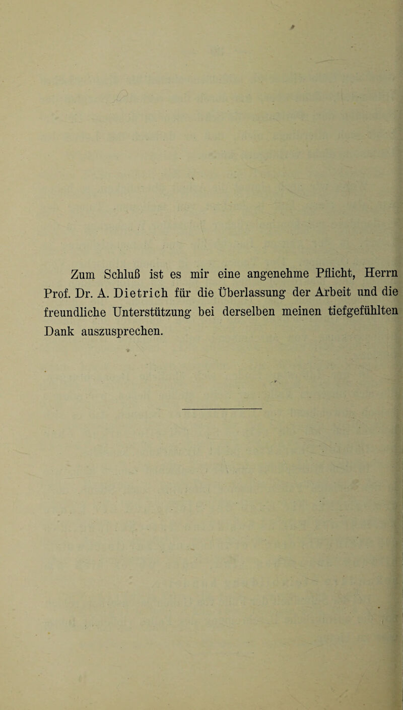 Zum Schluß ist es mir eine angenehme Pflicht, Herrn Prof. Dr. A. Dietrich für die Überlassung der Arbeit und die freundliche Unterstützung bei derselben meinen tiefgefühlten Dank auszusprechen.