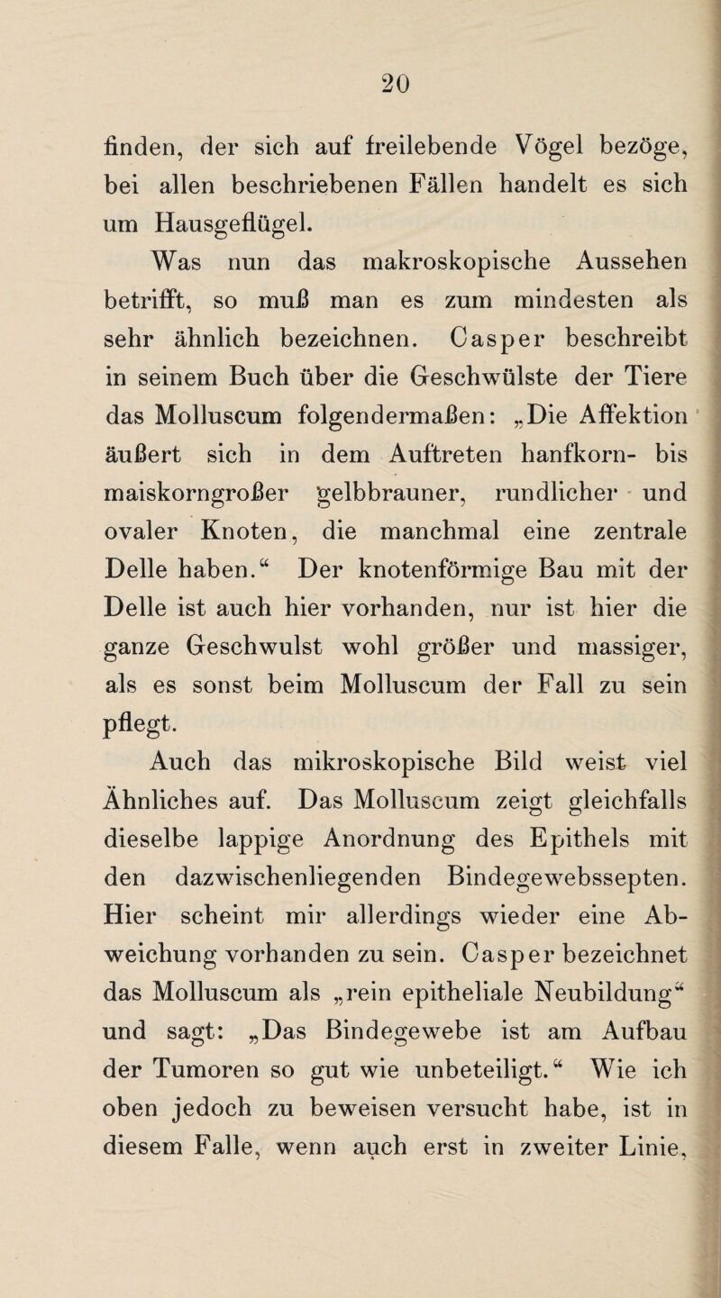 finden, der sich auf freilebende Vögel bezöge, bei allen beschriebenen Fällen handelt es sich um Hausgeflügel. Was nun das makroskopische Aussehen betrifPt, so muß man es zum mindesten als sehr ähnlich bezeichnen. Gasper beschreibt in seinem Buch über die Geschwülste der Tiere das Molluscum folgendermaßen: „Die Affektion ’ äußert sich in dem Auftreten hanfkorn- bis maiskorngroßer ‘gelbbrauner, rundlicher und ovaler Knoten, die manchmal eine zentrale Delle haben.“ Der knotenförmige Bau mit der Delle ist auch hier vorhanden, nur ist hier die ganze Geschwulst wohl größer und massiger, als es sonst beim Molluscum der Fall zu sein pflegt. Auch das mikroskopische Bild weist viel Ähnliches auf. Das Molluscum zeigt gleichfalls dieselbe lappige Anordnung des Epithels mit den dazwischenliegenden Bindegewebssepten. Hier scheint mir allerdings wieder eine Ab¬ weichung vorhanden zu sein. Gasper bezeichnet das Molluscum als „rein epitheliale Neubildung“ und sagt: „Das Bindegewebe ist am Aufbau der Tumoren so gut wie unbeteiligt.“ Wie ich oben jedoch zu beweisen versucht habe, ist in diesem Falle, wenn auch erst in zweiter Linie,