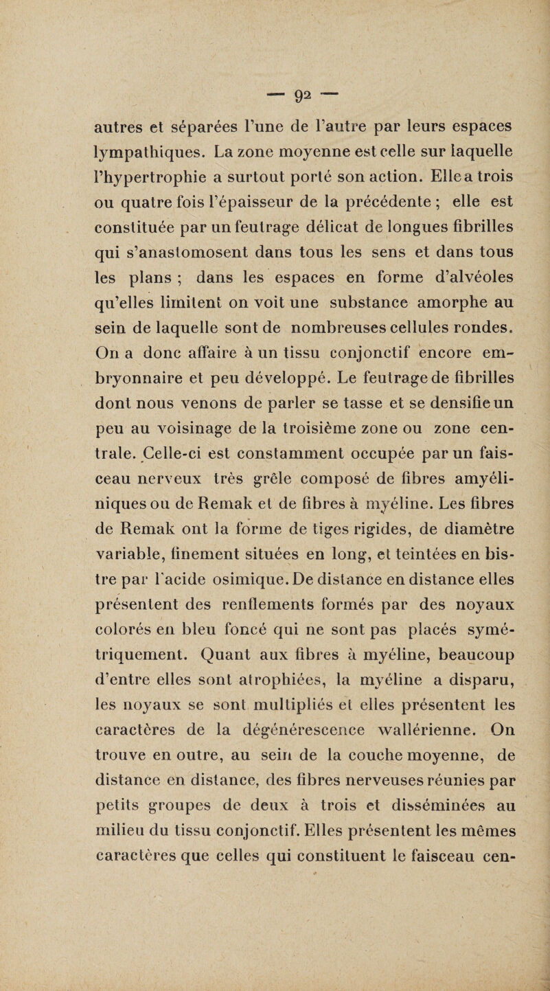 autres et séparées l’une de l’autre par leurs espaces lympathiques. La zone moyenne est celle sur laquelle l’hypertrophie a surtout porté son action. Elle a trois ou quatre fois l’épaisseur de la précédente ; elle est constituée par un feutrage délicat de longues fibrilles qui s’anastomosent dans tous les sens et dans tous les plans ; dans les espaces en forme d’alvéoles qu’elles limitent on voit une substance amorphe au sein de laquelle sont de nombreuses cellules rondes. On a donc affaire à un tissu conjonctif encore em¬ bryonnaire et peu développé. Le feutrage de fibrilles dont nous venons de parler se tasse et se densifie un peu au voisinage de la troisième zone ou zone cen¬ trale. Celle-ci est constamment occupée par un fais¬ ceau nerveux très grêle composé de fibres amyéli¬ niques ou de Remak et de fibres à myéline. Les fibres de Remak ont la forme de tiges rigides, de diamètre variable, finement situées en long, et teintées en bis¬ tre par l'acide osimique.De distance en distance elles présentent des renflements formés par des noyaux colorés en bleu foncé qui ne sont pas placés symé¬ triquement. Quant aux fibres à myéline, beaucoup d’entre elles sont atrophiées, la myéline a disparu, les noyaux se sont multipliés et elles présentent les caractères de la dégénérescence wallérienne. On trouve en outre, au sein de la couche moyenne, de distance en distance, des fibres nerveuses réunies par petits groupes de deux à trois et disséminées au milieu du tissu conjonctif. Elles présentent les mêmes caractères que celles qui constituent le faisceau cen-