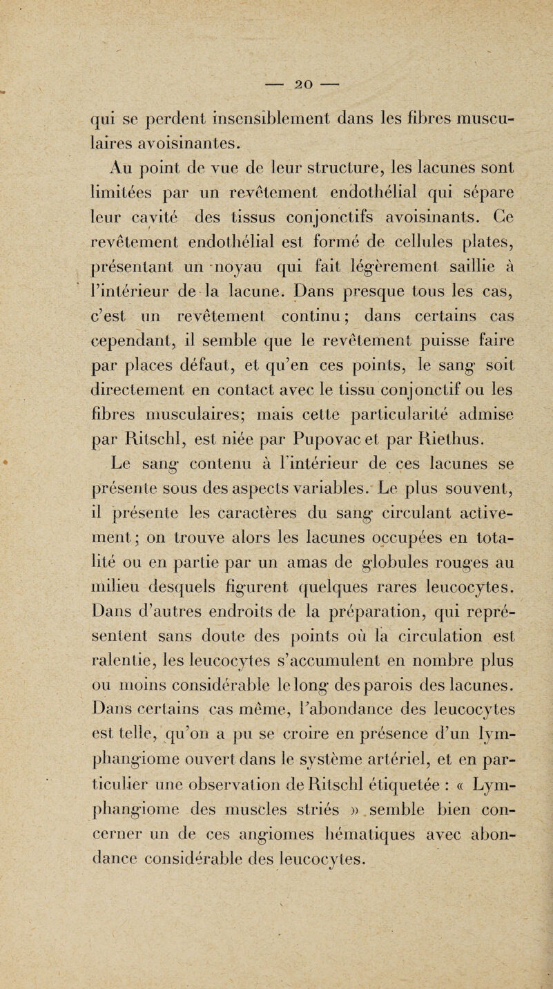qui se perdent insensiblement dans les fibres muscu¬ laires avoisinantes. Au point de vue de leur structure, les lacunes sont limitées par un revêtement endothélial qui sépare leur cavité des tissus conjonctifs avoisinants. Ce revêtement endothélial est formé de cellules plates, présentant un noyau qui fait légèrement saillie à l’intérieur de la lacune. Dans presque tous les cas, c’est un revêtement continu ; dans certains cas cependant, il semble que le revêtement puisse faire par places défaut, et qu’en ces points, le sang' soit directement en contact avec le tissu conjonctif ou les fibres musculaires; mais cette particularité admise par Ritschl, est niée par Pupovacet par Riethus. Le sang’ contenu à l’intérieur de ces lacunes se présente sous des aspects variables. Le plus souvent, il présente les caractères du sang’ circulant active¬ ment; on trouve alors les lacunes occupées en tota¬ lité ou en partie par un amas de globules rouges au milieu desquels figurent quelques rares leucocytes. Dans d’autres endroits de la préparation, qui repré¬ sentent sans doute des points où la circulation est ralentie, les leucocytes s’accumulent en nombre plus ou moins considérable le long des parois des lacunes. Dans certains cas même, l’abondance des leucocytes est telle, qu’on a pu se croire en présence d’un lym¬ phangiome ouvert dans le système artériel, et en par¬ ticulier une observation de Ritschl étiquetée : « Lym¬ phangiome des muscles striés » semble bien con¬ cerner un de ces angiomes hématiques avec abon¬ dance considérable des leucocytes.