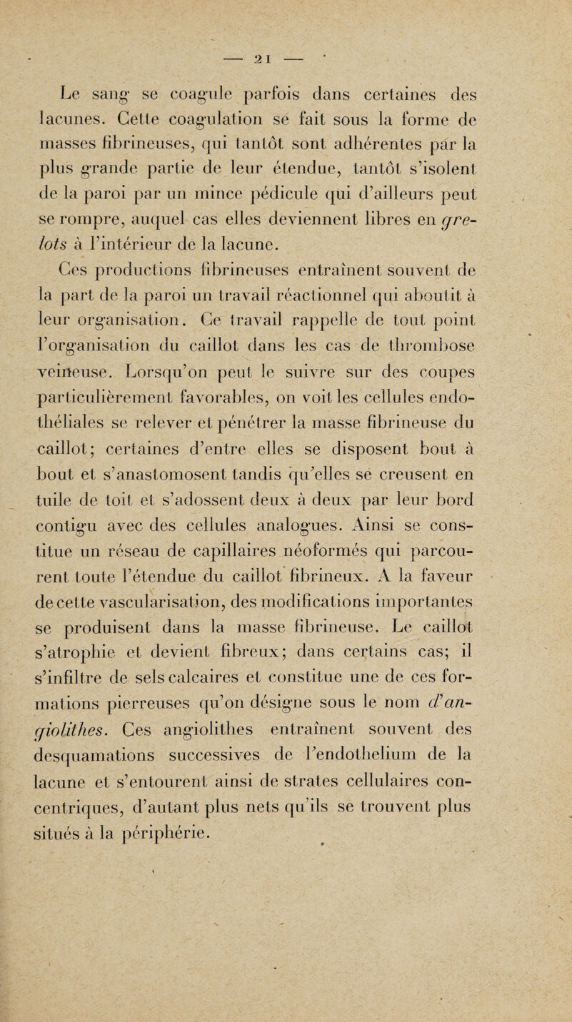 Le sang' se coagule parfois dans certaines des lacunes. Cette coagulation se fait sous la forme de masses fibrineuses, qui tantôt sont adhérentes par la plus grande partie de leur étendue, tantôt s’isolent de la paroi par un mince pédicule qui d’ailleurs peut se rompre, auquel cas elles deviennent libres en gre¬ lots à l’intérieur de la lacune. Ces productions fibrineuses entraînent souvent de la part de la paroi un travail réactionnel qui aboutit à leur organisation. Ce travail rappelle de tout point l’organisation du caillot dans les cas de thrombose veineuse. Lorsqu’on peut le suivre sur des coupes particulièrement favorables, on voit les cellules endo¬ théliales se relever et pénétrer la masse fibrineuse du caillot; certaines d’entre elles se disposent bout à bout et s’anastomosent tandis qu’elles se creusent en tuile de toit et s’adossent deux à deux par leur bord contigu avec des cellules analogues. Ainsi se cons¬ titue un réseau de capillaires néoformés qui parcou¬ rent toute l’étendue du caillot fibrineux. A la faveur de cette vascularisation, des modifications importantes se produisent dans la masse fibrineuse. Le caillot s’atrophie et devient fibreux; dans certains cas; il s’infiltre de sels calcaires et constitue une de ces for¬ mations pierreuses qu’on désigne sous le nom cFan- giolithes. Ces angiolithes entraînent souvent des desquamations successives de Lendothelium de la lacune et s’entourent ainsi de strates cellulaires con¬ centriques, d’autant plus nets qu’ils se trouvent plus situés à la périphérie.