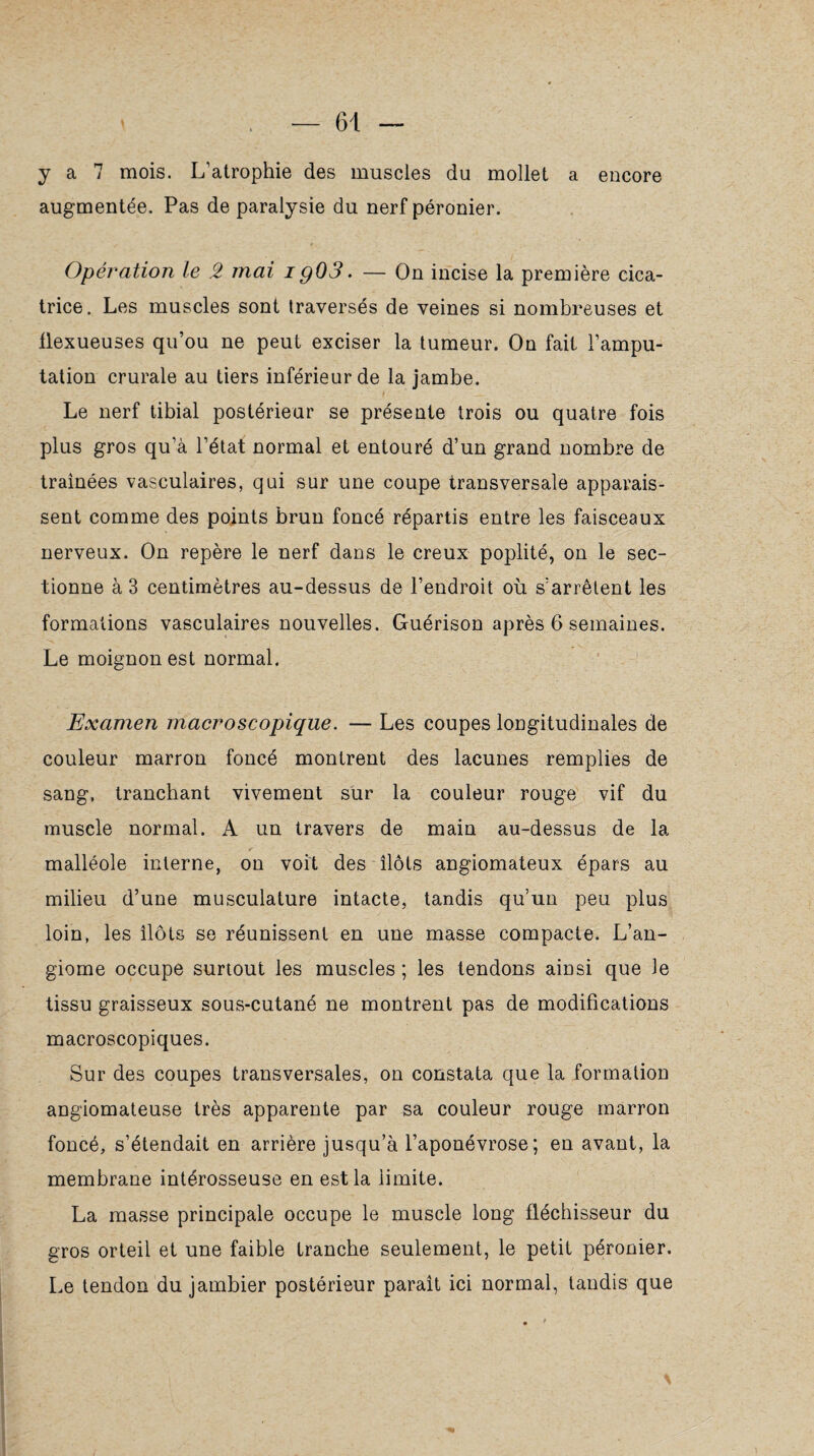 y a 7 mois. L’atrophie des muscles du mollet a encore augmentée. Pas de paralysie du nerf péronier. Opération le 2 mai ig03. — On incise la première cica¬ trice. Les muscles sont traversés de veines si nombreuses et flexueuses qu’ou ne peut exciser la tumeur. On fait l’ampu¬ tation crurale au tiers inférieur de la jambe. I _ Le nerf tibial postérieur se présente trois ou quatre fois plus gros qu'à l’état normal et entouré d’un grand nombre de traînées vasculaires, qui sur une coupe transversale apparais¬ sent comme des points brun foncé répartis entre les faisceaux nerveux. On repère le nerf dans le creux poplité, on le sec¬ tionne à 3 centimètres au-dessus de l’endroit où s’arrêtent les formations vasculaires nouvelles. Guérison après 6 semaines. Le moignon est normal. Examen macroscopique. — Les coupes longitudinales de couleur marron foncé montrent des lacunes remplies de sang, tranchant vivement sur la couleur rouge vif du muscle normal. A un travers de main au-dessus de la malléole interne, on voit des îlots angiomateux épars au milieu d’une musculature intacte, tandis qu’un peu plus loin, les îlots se réunissent en une masse compacte. L’an¬ giome occupe surtout les muscles ; les tendons ainsi que le tissu graisseux sous-cutané ne montrent pas de modifications macroscopiques. Sur des coupes transversales, on constata que la formation angiomateuse très apparente par sa couleur rouge marron foncé, s’étendait en arrière jusqu’à l’aponévrose; en avant, la membrane intérosseuse en est la limite. La masse principale occupe le muscle long fléchisseur du gros orteil et une faible tranche seulement, le petit péronier. Le tendon du jambier postérieur paraît ici normal, tandis que \