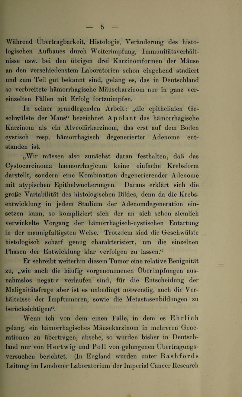 Während Übertragbarkeit, Histologie, Veränderung des histo¬ logischen Aufbaues durch Weiterimpfung, Immunitätsverhält¬ nisse usw. bei den übrigen drei Karzinomformen der Mäuse an den verschiedenstem Laboratorien schon eingehend studiert und zum Teil gut bekannt sind, gelang es, das in Deutschland so verbreitete hämorrhagische Mäusekarzinom nur in ganz ver¬ einzelten Fällen mit Erfolg fortzuimpfen. In seiner grundlegenden Arbeit: „die epithelialen Ge¬ schwülste der Maus“ bezeichnet Apolant das hämorrhagische Karzinom als ein Alveolärkarzinom, das erst auf dem Boden cystisch resp. hämorrhagisch degenerierter Adenome ent¬ standen ist. „Wir müssen also zunächst daran festhalten, daß das Cystocarcinoma haemorrhagicum keine einfache Krebsform darstellt, sondern eine Kombination degenerierender Adenome mit atypischen Epithelwucherungen. Daraus erklärt sich die große Variabilität des histologischen Bildes, denn da die Krebs¬ entwicklung in jedem Stadium der Adenomdegeneration ein- setzen kann, so kompliziert sich der an sich schon ziemlich verwickelte Vorgang der hämorrhagisch-cystischen Entartung in der mannigfaltigsten Weise. Trotzdem sind die Geschwülste histologisch scharf genug charakterisiert, um die einzelnen Phasen der Entwicklung klar verfolgen zu lassen.“ Er schreibt weiterhin diesem Tumor eine relative Benignität zu, „wie auch die häufig vorgenommenen Überimpfungen aus¬ nahmslos negativ verlaufen sind, für die Entscheidung der Malignitätsfrage aber ist es unbedingt notwendig, auch die Ver¬ hältnisse der Impftumoren, sowie die Metastasenbildungen zu berücksichtigen“. Wenn ich von dem einen Falle, in dem es Ehrlich gelang, ein hämorrhagisches Mäusekarzinom in mehreren Gene¬ rationen zu übertragen, absehe, so wurden bisher in Deutsch¬ land nur von Hertwig und Poll von gelungenen Übertragungs¬ versuchen berichtet. (In England wurden unter Bashfords Leitung im Londoner Laboratorium der Imperial Cancer Research