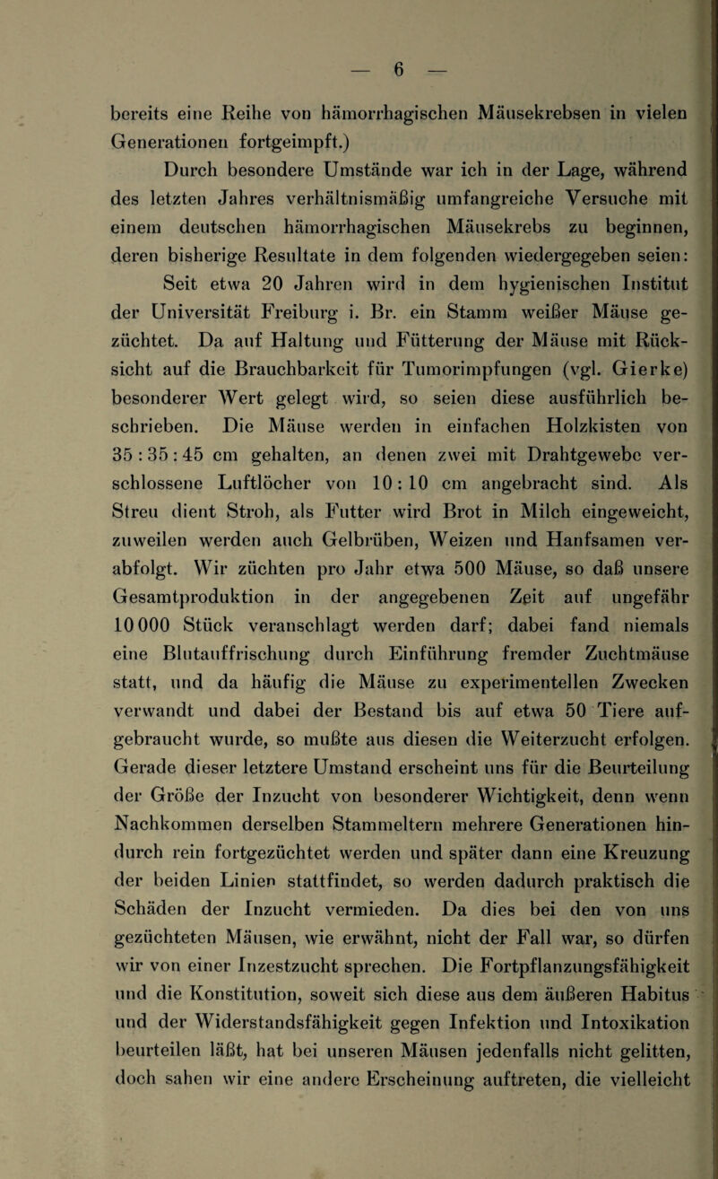 bereits eine Reihe von hämorrhagischen Mäusekrebsen in vielen Generationen fortgeimpft.) Durch besondere Umstände war ich in der Lage, während des letzten Jahres verhältnismäßig umfangreiche Versuche mit einem deutschen hämorrhagischen Mäusekrebs zu beginnen, deren bisherige Resultate in dem folgenden wiedergegeben seien: Seit etwa 20 Jahren wird in dem hygienischen Institut der Universität Freiburg i. Br. ein Stamm weißer Mäuse ge¬ züchtet. Da auf Haltung und Fütterung der Mäuse mit Rück¬ sicht auf die Brauchbarkeit für Tumorimpfungen (vgl. Gierke) besonderer Wert gelegt wird, so seien diese ausführlich be¬ schrieben. Die Mäuse werden in einfachen Holzkisten von 35:35:45 cm gehalten, an denen zwei mit Drahtgewebe ver¬ schlossene Luftlöcher von 10: 10 cm angebracht sind. Als Streu dient Stroh, als Futter wird Brot in Milch eingeweicht, zuweilen werden auch Gelbrüben, Weizen und Hanfsamen ver¬ abfolgt. Wir züchten pro Jahr etwa 500 Mäuse, so daß unsere Gesamtproduktion in der angegebenen Zeit auf ungefähr 10 000 Stück veranschlagt werden darf; dabei fand niemals eine Blutauffrischung durch Einführung fremder Zuchtmäuse statt, und da häufig die Mäuse zu experimentellen Zwecken verwandt und dabei der Bestand bis auf etwa 50 Tiere auf¬ gebraucht wurde, so mußte aus diesen die Weiterzucht erfolgen. Gerade dieser letztere Umstand erscheint uns für die Beurteilung der Größe der Inzucht von besonderer Wichtigkeit, denn wenn Nachkommen derselben Stammeltern mehrere Generationen hin¬ durch rein fortgezüchtet werden und später dann eine Kreuzung der beiden Linien stattfindet, so werden dadurch praktisch die Schäden der Inzucht vermieden. Da dies bei den von uns gezüchteten Mäusen, wie erwähnt, nicht der Fall war, so dürfen wir von einer Inzestzucht sprechen. Die Fortpflanzungsfähigkeit und die Konstitution, soweit sich diese aus dem äußeren Habitus und der Widerstandsfähigkeit gegen Infektion und Intoxikation beurteilen läßt, hat bei unseren Mäusen jedenfalls nicht gelitten, doch sahen wir eine andere Erscheinung auftreten, die vielleicht