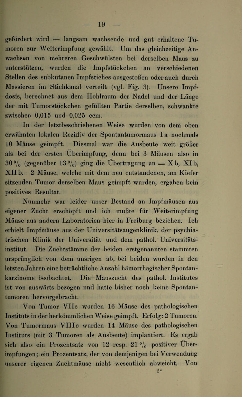 gefördert wird — langsam wachsende und gut erhaltene Tu¬ moren zur Weiterimpfung gewählt. Um das gleichzeitige An¬ wachsen von mehreren Geschwülsten bei derselben Maus zu unterstützen, wurden die Impfstückchen an verschiedenen Stellen des subkutanen Impfstiches ausgestoßen oderauch durch Massieren im Stichkanal verteilt (vgl. Fig. 3). Unsere Impf¬ dosis, berechnet aus dem Hohlraum der Nadel und der Länge der mit Tumorstückchen gefüllten Partie derselben, schwankte zwischen 0,015 und 0,025 ccm. In der letztbeschriebenen Weise wurden von dem oben erwähnten lokalen Rezidiv der Spontantumormaus Ia nochmals 10 Mäuse geimpft. Diesmal war die Ausbeute weit größer als bei der ersten Überimpfung, denn bei 3 Mäusen also in 30% (gegenüber 13%) ging die Übertragung an = X b, XI b, XII b. 2 Mäuse, welche mit dem neu entstandenen, am Kiefer sitzenden Tumor derselben Maus geimpft wurden, ergaben kein positives Resultat. Nunmehr war leider unser Bestand an Impfmäusen aus eigener Zucht erschöpft und ich mußte für Weiterimpfung Mäuse aus andern Laboratorien hier in Freiburg beziehen. Ich erhielt Impfmäuse aus der Universitätsaugenklinik, der psychia¬ trischen Klinik der Universität und dem pathol. Universitäts¬ institut. Die Zuchtstämme der beiden erstgenannten stammten ursprünglich von dem unsrigen ab, bei beiden wurden in den letzten Jahren eine beträchtliche Anzahl hämorrhagischer Spontan¬ karzinome beobachtet. Die Mauszucht des pathol. Institutes ist von auswärts bezogen nnd hatte bisher noch keine Spontan¬ tumoren hervorgebracht. Von Tumor VIIc wurden 16 Mäuse des pathologischen Instituts in der herkömmlichen Weise geimpft. Erfolg: 2 Tumoren. Von Tumormaus VIIIc wurden 14 Mäuse des pathologischen Instituts (mit 3 Tumoren als Ausbeute) implantiert. Es ergab •• sich also ein Prozentsatz von 12 resp. 21 % positiver Uber¬ impfungen; ein Prozentsatz, der von demjenigen bei Verwendung unserer eigenen Zuchtmäuse nicht wesentlich abweicht. Von 2*
