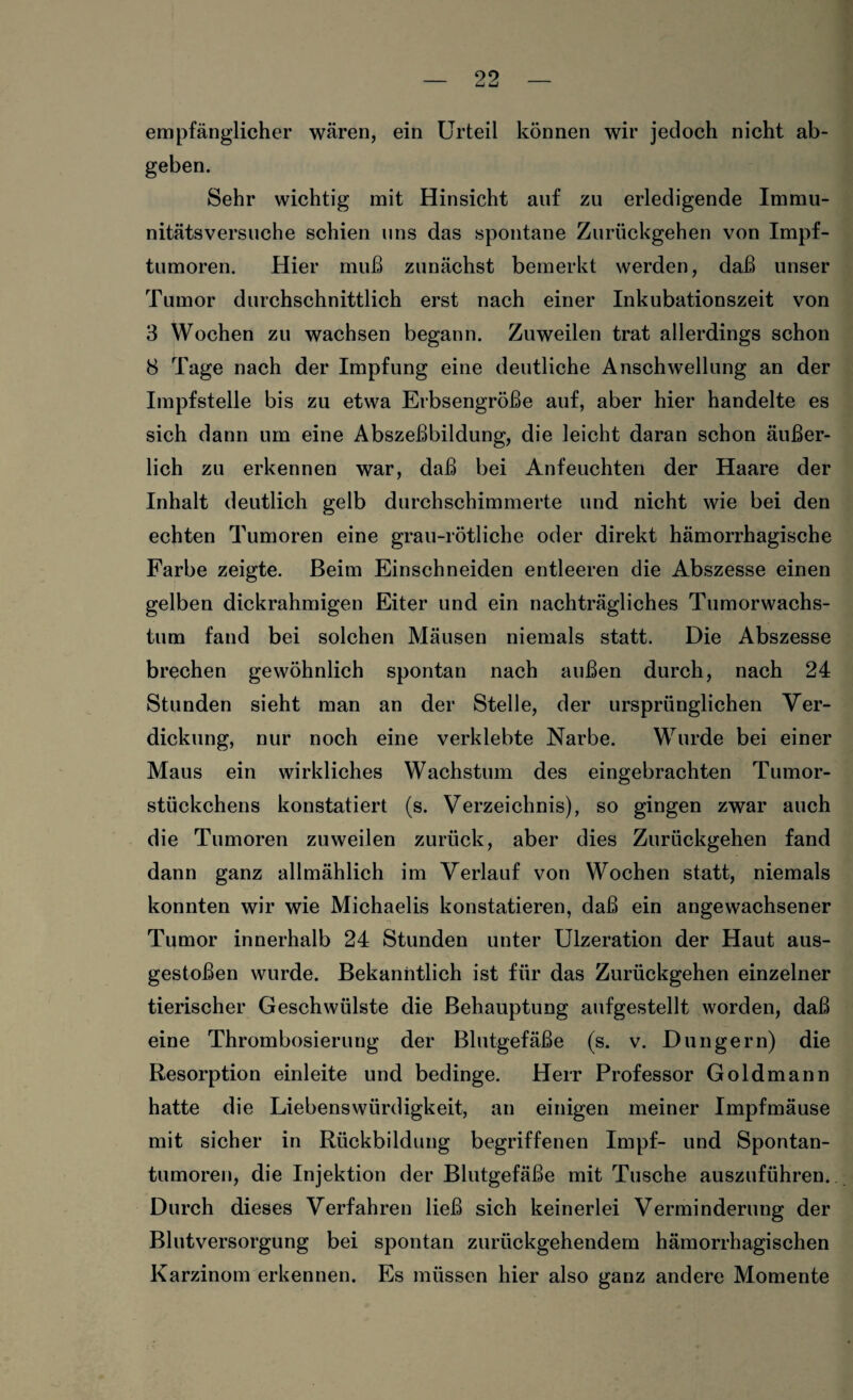 empfänglicher wären, ein Urteil können wir jedoch nicht ab¬ geben. Sehr wichtig mit Hinsicht auf zu erledigende Immu¬ nitätsversuche schien uns das spontane Zurückgehen von Impf¬ tumoren. Hier muß zunächst bemerkt werden, daß unser Tumor durchschnittlich erst nach einer Inkubationszeit von 3 Wochen zu wachsen begann. Zuweilen trat allerdings schon 8 Tage nach der Impfung eine deutliche Anschwellung an der Impfstelle bis zu etwa Erbsengroße auf, aber hier handelte es sich dann um eine Abszeßbildung, die leicht daran schon äußer¬ lich zu erkennen war, daß bei Anfeuchten der Haare der Inhalt deutlich gelb durchschimmerte und nicht wie bei den echten Tumoren eine grau-rötliche oder direkt hämorrhagische Farbe zeigte. Beim Einschneiden entleeren die Abszesse einen gelben dickrahmigen Eiter und ein nachträgliches Tumorwachs¬ tum fand bei solchen Mäusen niemals statt. Die Abszesse brechen gewöhnlich spontan nach außen durch, nach 24 Stunden sieht man an der Stelle, der ursprünglichen Ver¬ dickung, nur noch eine verklebte Narbe. Wurde bei einer Maus ein wirkliches Wachstum des eingebrach teil Tumor¬ stückchens konstatiert (s. Verzeichnis), so gingen zwar auch die Tumoren zuweilen zurück, aber dies Zurückgehen fand dann ganz allmählich im Verlauf von Wochen statt, niemals konnten wir wie Michaelis konstatieren, daß ein angewachsener Tumor innerhalb 24 Stunden unter Ulzeration der Haut aus- gestoßen wurde. Bekanntlich ist für das Zurückgehen einzelner tierischer Geschwülste die Behauptung aufgestellt worden, daß eine Thrombosierung der Blutgefäße (s. v. Düngern) die Resorption einleite und bedinge. Herr Professor Goldmann hatte die Liebenswürdigkeit, an einigen meiner Impfmäuse mit sicher in Rückbildung begriffenen Impf- und Spontan¬ tumoren, die Injektion der Blutgefäße mit Tusche auszuführen. Durch dieses Verfahren ließ sich keinerlei Verminderung der Blutversorgung bei spontan zurückgehendem hämorrhagischen Karzinom erkennen. Es müssen hier also ganz andere Momente