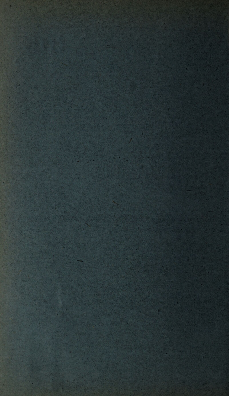 ' *. : ;•. v.-, - . • :;£ ' l 3' ' ■ wk-- • • -Çi&J-v:->■ ' rs . : ' - ■ V -ÂŸ - ■.■'>• •'■ : '; 1? \ ■ ■ . • : ' ! V. ' ■ • • : ■■■ . ■ • ■ \ • - . - . . ■■ ?' - 'f ■< _ 3.3 ■ ; ■/ ■ ■ . . • f •• ■ • , ' ' ' , • ' ; v ' ' 1 ‘A ±\ 3' ' l' >. • <S» v» ' ; y ; - v- •- •.• ■• . ■ ■ ■ • • • • • • • ■ '.' ■ : ■ . -■ - i ' : . yv* • • '• . ■ •. ’ . * y . - ;■ -' . y ' s ’’*' -r - - ■ « >>.'.. ' .' . • * , ... ■ ~ ' ' r ' ■ ' ■ ' ' . ■. ' ’ ' ' • /.; ':..... '■•• - •’ ■ ■• ■ > : ■ <1- ‘ .r'- . -ry ? . f ■ . - ■ ■ • v : V ' ■ ' -■ J , - .. * ■■■ .y ,^ > : ■■ - .. • 'V . - 3 V* -*3> • ’ - , 3 y' • y P^s V■■-H'-;*: - y - : y; ■. C<- *K- • ■•■. • y •• . .-H>- . ■••' ■' ■ L- ' 333 ■ mmmMm ■ ■ •- ■ ■ y 'y /i ‘vr,’' .>* \ V;v'f .33-v ■