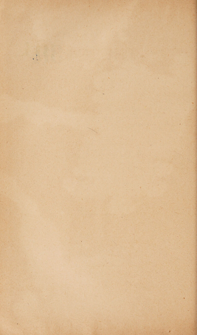 ' , . ' ' ■ > - - - V . % — • .J - .. ' >*• \ N a X . ^ * - -