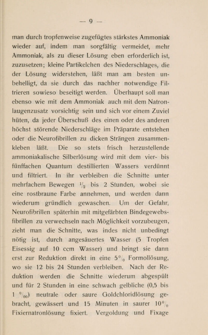 inan durch tropfenweise zugefügtes stärkstes Ammoniak wieder auf, indem man sorgfältig vermeidet, mehr Ammoniak, als zu dieser Lösung eben erforderlich ist, zuzusetzen; kleine Partikelchen des Niederschlages, die der Lösung widerstehen, läßt man am besten un¬ behelligt, da sie durch das nachher notwendige Fil¬ trieren sowieso beseitigt werden. Überhaupt soll man ebenso wie mit dem Ammoniak auch mit dem Natron¬ laugenzusatz vorsichtig sein und sich vor einem Zuviel hüten, da jeder Überschuß des einen oder des anderen höchst störende Niederschläge im Präparate entstehen oder die Neurofibrillen zu dicken Strängen zusammen¬ kleben läßt. Die so stets frisch herzustellende ammoniakalische Silberlösung wird mit dem vier- bis fünffachen Quantum destillierten Wassers verdünnt und filtriert. In ihr verbleiben die Schnitte unter mehrfachem Bewegen lj2 bis 2 Stunden, wobei sie eine rostbraune Farbe annehmen, und werden dann wiederum gründlich gewaschen. Um der Gefahr, Neurofibrillen späterhin mit mitgefärbten Bindegewebs- fibrillen zu verwechseln nach Möglichkeit vorzubeugen, zieht man die Schnitte, was indes nicht unbedingt nötig ist, durch angesäuertes Wasser (5 Tropfen Eisessig auf 10 ccm Wasser) und bringt sie dann erst zur Reduktion direkt in eine 5°0 Formollösung, wo sie 12 bis 24 Stunden verbleiben. Nach der Re¬ duktion werden die Schnitte wiederum abgespült und für 2 Stunden in eine schwach gelbliche (0,5 bis 1  00) neutrale oder saure Goldchloridlösung ge- m bracht, gewässert und 15 Minuten in saurer 10 0 Fixiernatronlösung fixiert. Vergoldung und Fixage