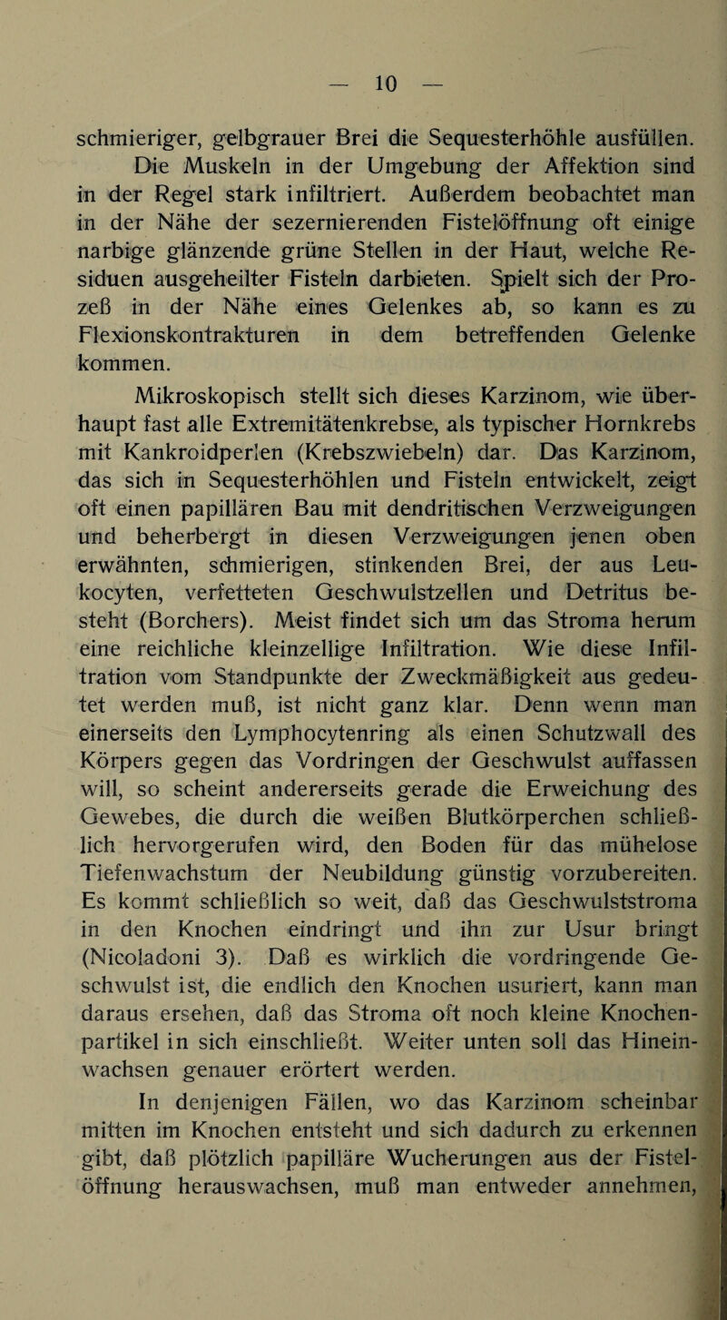 schmieriger, gelbgrauer Brei die Sequesterhöhle ausfüllen. Die Muskeln in der Umgebung der Affektion sind in der Regel stark infiltriert. Außerdem beobachtet man in der Nähe der sezernierenden Fistelöffnung oft einige narbige glänzende grüne Stellen in der Haut, weiche Re¬ siduen ausgeheilter Fisteln darbieten. Spielt sich der Pro¬ zeß in der Nähe eines Gelenkes ab, so kann es zu Flexionskontrakturen in dem betreffenden Gelenke kommen. Mikroskopisch stellt sich dieses Karzinom, wie über¬ haupt fast alle Extremitätenkrebse, als typischer Hornkrebs mit Kankroidperien (Krebszwiebeln) dar. Das Karzinom, das sich in Sequesterhöhlen und Fisteln entwickelt, zeigt oft einen papillären Bau mit dendritischen Verzweigungen und beherbergt in diesen Verzweigungen jenen oben erwähnten, schmierigen, stinkenden Brei, der aus Leu- kocyten, verfetteten Geschwulstzellen und Detritus be¬ steht (Borchers). Meist findet sich um das Stroma herum eine reichliche kleinzellige Infiltration. Wie diese Infil¬ tration vom Standpunkte der Zweckmäßigkeit aus gedeu¬ tet werden muß, ist nicht ganz klar. Denn wenn man einerseits den Lymphocytenring als einen Schutzwall des Körpers gegen das Vordringen der Geschwulst auffassen will, so scheint andererseits gerade die Erweichung des Gewebes, die durch die weißen Blutkörperchen schließ¬ lich hervorgerufen wird, den Boden für das mühelose Tiefen Wachstum der Neubildung günstig vorzubereiten. Es kommt schließlich so weit, daß das Geschwulststroma in den Knochen eindringt und ihn zur Usur bringt (Nicoladoni 3). Daß es wirklich die vordringende Ge¬ schwulst ist, die endlich den Knochen usuriert, kann man daraus ersehen, daß das Stroma oft noch kleine Knochen¬ partikel in sich einschließt. Weiter unten soll das Hinein¬ wachsen genauer erörtert werden. In denjenigen Fällen, wo das Karzinom scheinbar mitten im Knochen entsteht und sich dadurch zu erkennen gibt, daß plötzlich papilläre Wucherungen aus der Fistel¬ öffnung herauswachsen, muß man entweder annehmen,