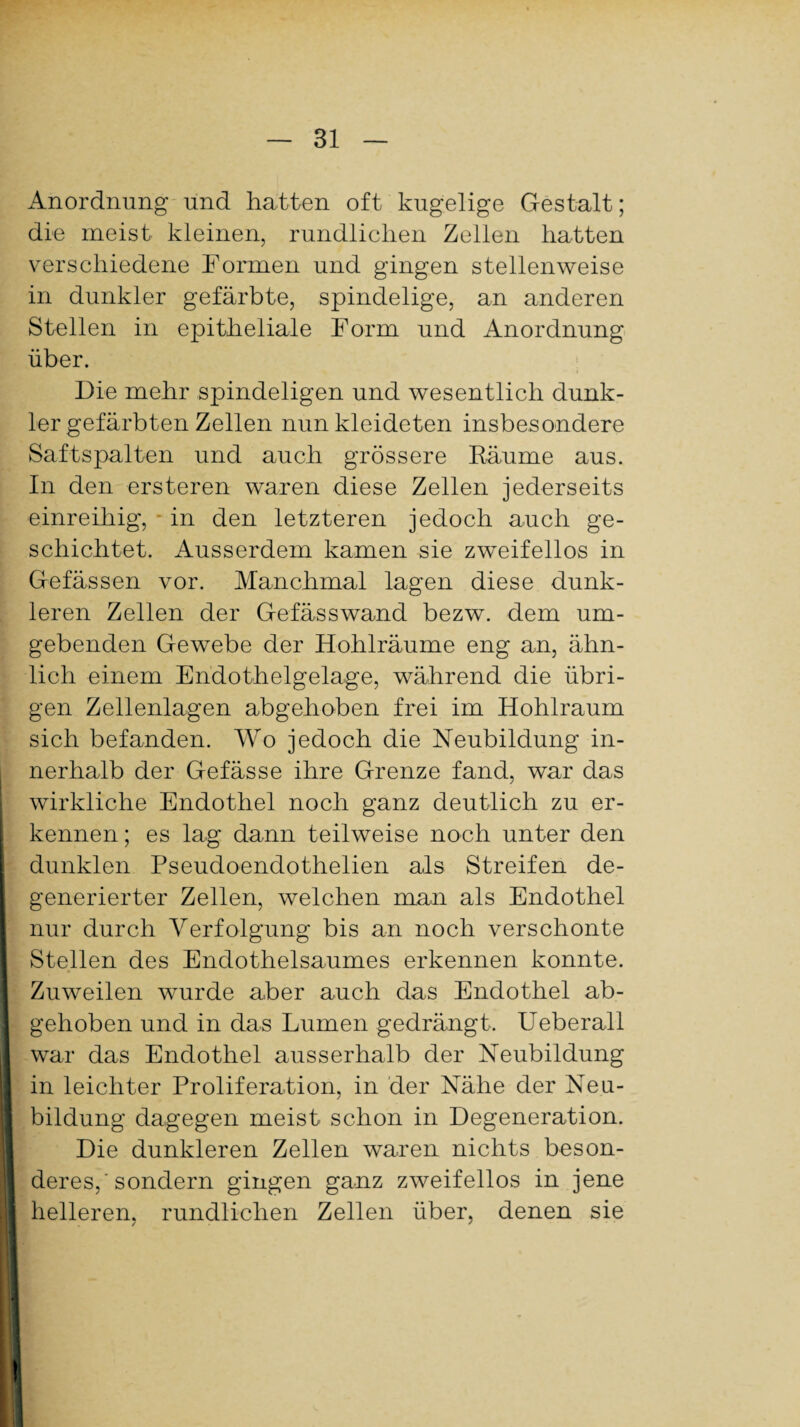 Anordnung und hatten oft kugelige Gestalt; die meist kleinen, rundlichen Zellen hatten verschiedene Formen und gingen stellenweise in dunkler gefärbte, spindelige, an anderen Stellen in epitheliale Form und Anordnung über. Die mehr spindeligen und wesentlich dunk¬ ler gefärbten Zellen nun kleideten insbesondere Saftspalten und auch grössere Räume aus. In den ersteren waren diese Zellen jederseits einreihig, in den letzteren jedoch auch ge¬ schichtet. Ausserdem kamen sie zweifellos in Gefässen vor. Manchmal lagen diese dunk¬ leren Zellen der Gefässwand bezw. dem um¬ gebenden Gewebe der Hohlräume eng an, ähn¬ lich einem Endothelgelage, während die übri¬ gen Zellenlagen abgehoben frei im Hohlraum sich befanden. Wo jedoch die Neubildung in¬ nerhalb der Gefässe ihre Grenze fand, war das wirkliche Endothel noch ganz deutlich zu er¬ kennen; es lag dann teilweise noch unter den dunklen Pseudoendothelien als Streifen de¬ generierter Zellen, welchen man als Endothel nur durch Verfolgung bis an noch verschonte Stellen des Endothelsaumes erkennen konnte. Zuweilen wurde aber auch das Endothel ab¬ gehoben und in das Lumen gedrängt, Ueberall war das Endothel ausserhalb der Neubildung in leichter Proliferation, in der Nähe der Neu¬ bildung dagegen meist schon in Degeneration. Die dunkleren Zellen waren nichts beson¬ deres,'sondern gingen ganz zweifellos in jene helleren, rundlichen Zellen über, denen sie