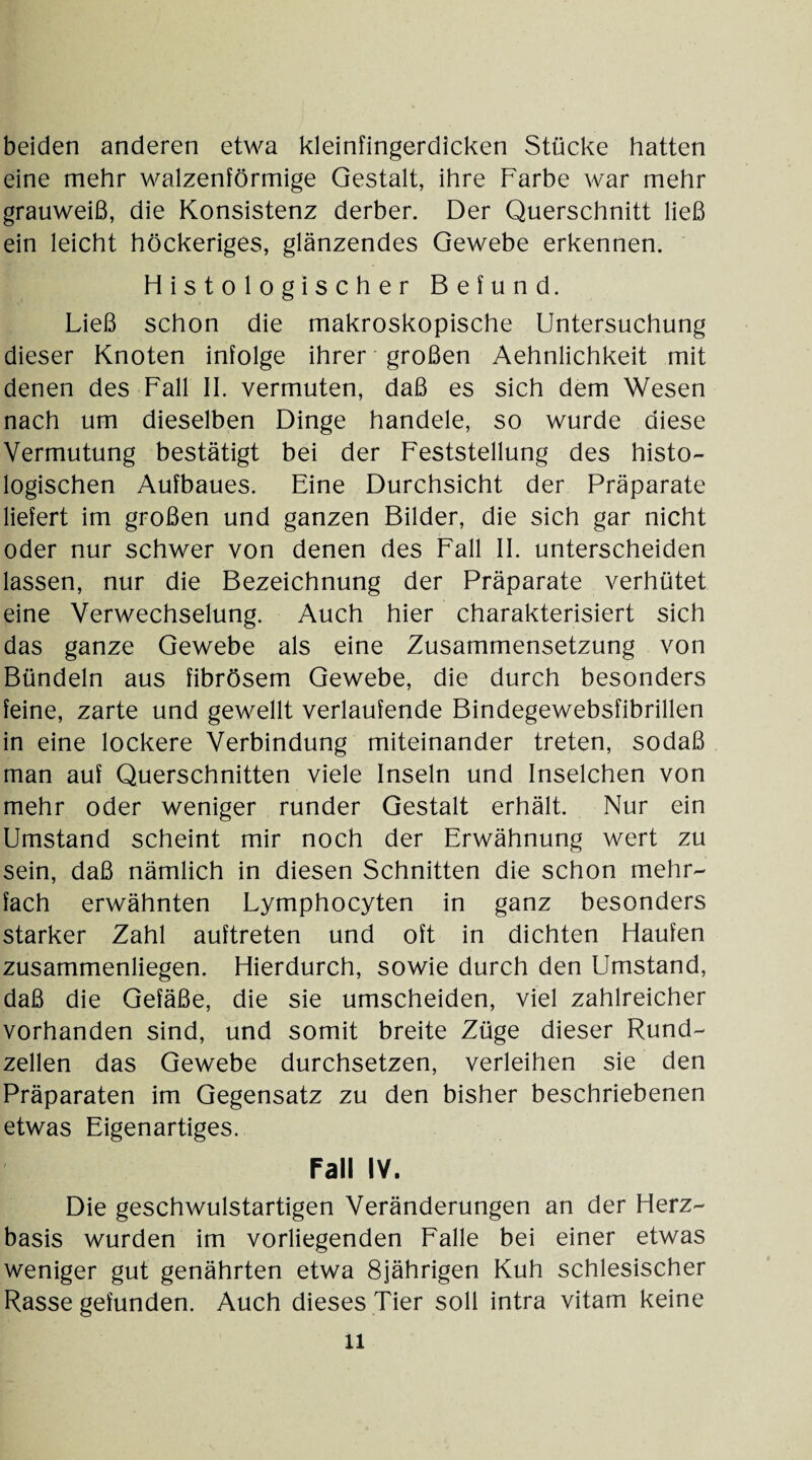 beiden anderen etwa kleinfingerdicken Stücke hatten eine mehr walzenförmige Gestalt, ihre Farbe war mehr grauweiß, die Konsistenz derber. Der Querschnitt ließ ein leicht höckeriges, glänzendes Gewebe erkennen. Histologischer Befund. Ließ schon die makroskopische Untersuchung dieser Knoten infolge ihrer großen Aehnlichkeit mit denen des Fall II. vermuten, daß es sich dem Wesen nach um dieselben Dinge handele, so wurde diese Vermutung bestätigt bei der Feststellung des histo¬ logischen Aufbaues. Eine Durchsicht der Präparate liefert im großen und ganzen Bilder, die sich gar nicht oder nur schwer von denen des Fall II. unterscheiden lassen, nur die Bezeichnung der Präparate verhütet eine Verwechselung. Auch hier charakterisiert sich das ganze Gewebe als eine Zusammensetzung von Bündeln aus fibrösem Gewebe, die durch besonders feine, zarte und gewellt verlaufende Bindegewebsfibrillen in eine lockere Verbindung miteinander treten, sodaß man auf Querschnitten viele Inseln und Inselchen von mehr oder weniger runder Gestalt erhält. Nur ein Umstand scheint mir noch der Erwähnung wert zu sein, daß nämlich in diesen Schnitten die schon mehr¬ fach erwähnten Lymphocyten in ganz besonders starker Zahl auftreten und oft in dichten Haufen zusammenliegen. Hierdurch, sowie durch den Umstand, daß die Gefäße, die sie umscheiden, viel zahlreicher vorhanden sind, und somit breite Züge dieser Rund¬ zellen das Gewebe durchsetzen, verleihen sie den Präparaten im Gegensatz zu den bisher beschriebenen etwas Eigenartiges. Fall IV. Die geschwulstartigen Veränderungen an der Herz¬ basis wurden im vorliegenden Falle bei einer etwas weniger gut genährten etwa 8jährigen Kuh schlesischer Rasse gefunden. Auch dieses Tier soll intra vitam keine