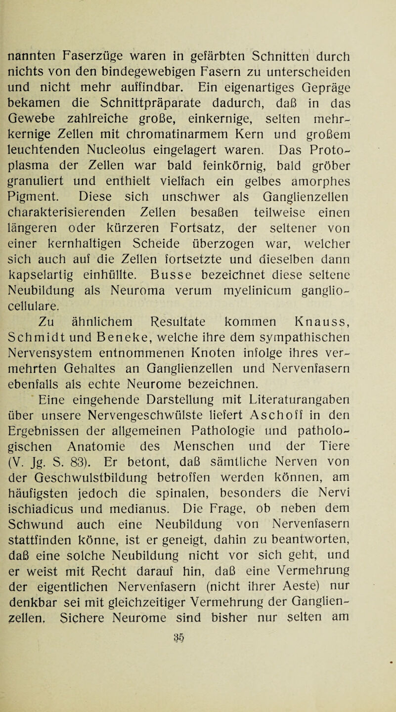 nannten Faserzüge waren in gefärbten Schnitten durch nichts von den bindegewebigen Fasern zu unterscheiden und nicht mehr auffindbar. Ein eigenartiges Gepräge bekamen die Schnittpräparate dadurch, daß in das Gewebe zahlreiche große, einkernige, selten mehr¬ kernige Zellen mit chromatinarmem Kern und großem leuchtenden Nucleolus eingelagert waren. Das Proto¬ plasma der Zellen war bald feinkörnig, bald gröber granuliert und enthielt vielfach ein gelbes amorphes Pigment. Diese sich unschwer als Ganglienzellen charakterisierenden Zellen besaßen teilweise einen längeren oder kürzeren Fortsatz, der seltener von einer kernhaltigen Scheide überzogen war, welcher sich auch auf die Zellen fortsetzte und dieselben dann kapselartig einhüllte. Busse bezeichnet diese seltene Neubildung als Neuroma verum myelinicum ganglio- cellulare. Zu ähnlichem Resultate kommen Knauss, Schmidt und Beneke, welche ihre dem sympathischen Nervensystem entnommenen Knoten infolge ihres ver¬ mehrten Gehaltes an Ganglienzellen und Nervenfasern ebenfalls als echte Neurome bezeichnen. Eine eingehende Darstellung mit Literaturangaben über unsere Nervengeschwülste liefert Asch off in den Ergebnissen der allgemeinen Pathologie und patholo¬ gischen Anatomie des Menschen und der Tiere (V. Jg. S. 83). Er betont, daß sämtliche Nerven von der Geschwulstbildung betroffen werden können, am häufigsten jedoch die spinalen, besonders die Nervi ischiadicus und medianus. Die Frage, ob neben dem Schwund auch eine Neubildung von Nervenfasern stattfinden könne, ist er geneigt, dahin zu beantworten, daß eine solche Neubildung nicht vor sich geht, und er weist mit Recht darauf hin, daß eine Vermehrung der eigentlichen Nervenfasern (nicht ihrer Aeste) nur denkbar sei mit gleichzeitiger Vermehrung der Ganglien¬ zellen. Sichere Neurome sind bisher nur selten am