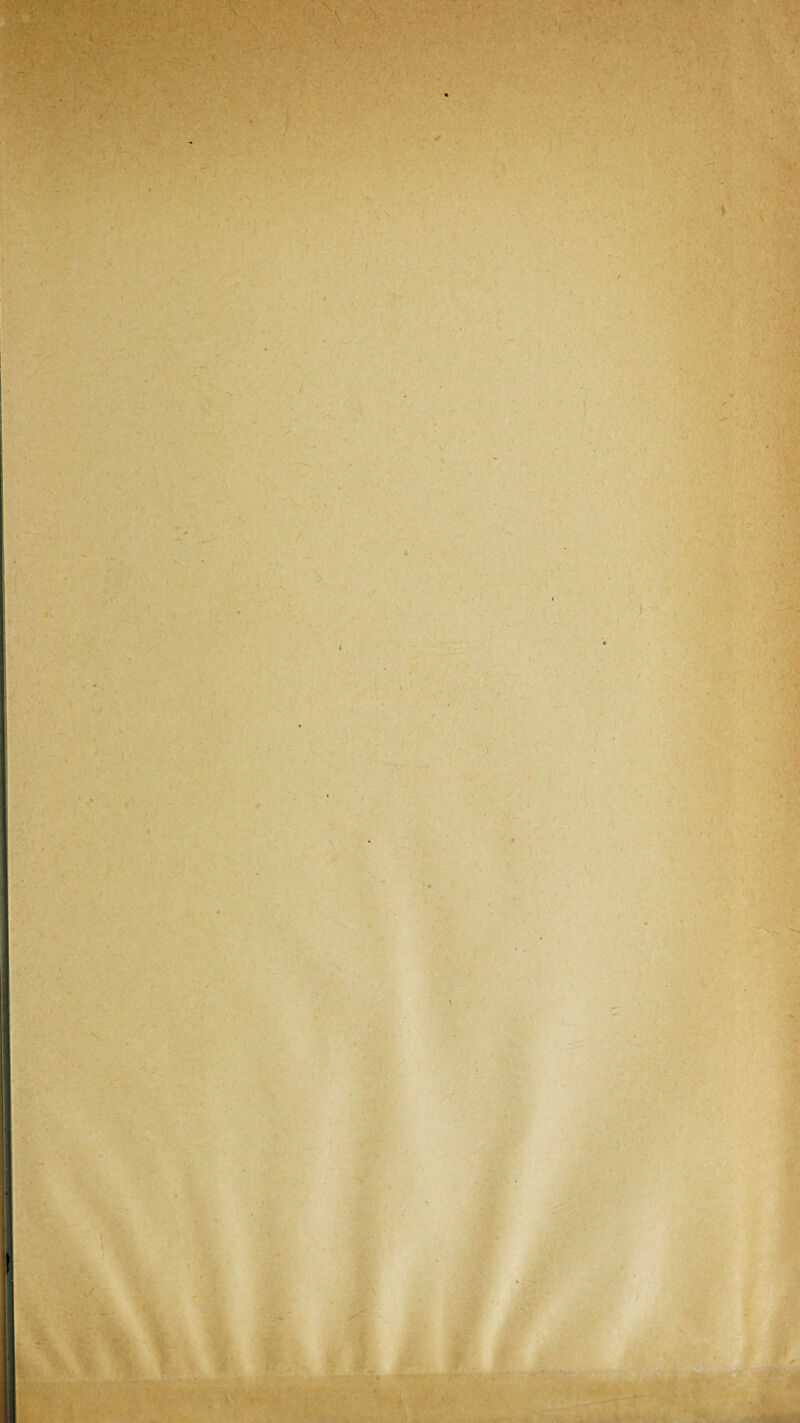 - ’ V • • • •V .v.; « \