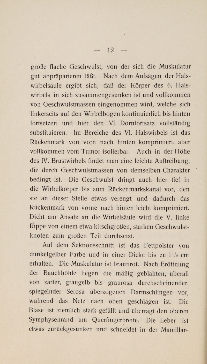 große flache Geschwulst, von der sich die Muskulatur gut abpräparieren läßt. Nach dem Aufsägen der Hals¬ wirbelsäule ergibt sich, daß der Körper des 6. Hals¬ wirbels in sich zusammengesunken ist und vollkommen von Geschwulstmassen eingenommen wird, welche sich linkerseits auf den Wirbelbogen kontinuierlich bis hinten fortsetzen und hier den VI. Dornfortsatz vollständig substituieren. Im Bereiche des VI. Halswirbels ist das Rückenmark von vorn nach hinten komprimiert, aber vollkommen vom Tumor isolierbar. Auch in der Höhe des IV. Brustwirbels findet man eine leichte Auftreibung, die durch Geschwulstmassen von demselben Charakter bedingt ist. Die Geschwulst dringt auch hier tief in die Wirbelkörper bis zum Rückenmarkskanal vor, den sie an dieser Stelle etwas verengt und dadurch das Rückenmark von vorne nach hinten leicht komprimiert. Dicht am Ansatz an die Wirbelsäule wird die V. linke Rippe von einem etwa kirschgroßen, starken Geschwulst¬ knoten zum großen Teil durchsetzt. Auf dem Sektionsschnitt ist das Fettpolster von dunkelgelber Farbe und in einer Dicke bis zu H/2 cm erhalten. Die Muskulatur ist braunrot. Nach Eröffnung der Bauchhöhle liegen die mäßig geblähten, überall von zarter, graugelb bis graurosa durchscheinender, spiegelnder Serosa überzogenen Darmschlingen vor, während das Netz nach oben geschlagen ist. Die Blase ist ziemlich stark gefüllt und überragt den oberen Symphysenrand um Querfingerbreite. Die Leber ist etwas zurückgesunken und schneidet in der Mamillar-