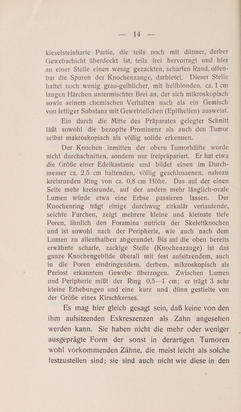 kieselsteinharte Partie, die teils noch mit dünner, derber Gewebschicht überdeckt ist, teils frei hervorragt und hier an einer Stelle einen wenig gezackten, scharfen Rand, offen¬ bar die Spuren der Knochenzange, darbietet. Dieser Stelle haftet noch wenig grau-gelblicher, mit hellblonden, ca. 1 cm langen Härchen untermischter Brei an, der sich mikroskopisch sowie seinem chemischen Verhalten nach als ein Gemisch von fettiger Substanz mit Gewebteilchen (Epithelien) ausweist. Ein durch die Mitte des Präparates gelegter Schnitt läßt sowohl die bezopfte Prominenz als auch den Tumor selbst makroskopisch als völlig solide erkennen. Der Knochen inmitten der obern Tumorhälfte wurde nicht durchschnitten, sondern nur freipräpariert. Er hat etwa die Größe einer Edelkastanie und bildet einen im Durch¬ messer ca. 2,5 cm haltenden, völlig geschlossenen, nahezu kreisrunden Ring von ca. 0,8 cm Höhe. Das auf der einen Seite mehr kreisrunde, auf der andern mehr länglich-ovale Lumen würde etwa eine Erbse passieren lassen. Der Knochenring trägt einige durchweg zirkulär verlaufende, seichte Furchen, zeigt mehrere kleine und kleinste tiefe Poren, ähnlich den Foramina nutricia der Skelettknochen und ist sowohl nach der Peripherie, wie auch nach dem Lumen zu allenthalben abgerundet. Bis auf die oben bereits erwähnte scharfe, zackige Stelle (Knochenzange) ist das ganze Knochengebilde überall mit fest aufsitzendem, auch in die Poren eindringendem, derbem, mikroskopisch als Periost erkanntem Gewebe überzogen. Zwischen Lumen und Peripherie mißt der Ring 0,5—1 cm; er trägt 3 sehr kleine Erhebungen und eine kurz und dünn gestielte von der Größe eines Kirschkernes. Es mag hier gleich gesagt sein, daß keine von den ihm aufsitzenden Exkreszenzen als Zahn angesehen werden kann. Sie haben nicht die mehr oder weniger ausgeprägte Form der sonst in derartigen Tumoren wohl vorkommenden Zähne, die meist leicht als solche festzustellen sind; sie sind auch nicht wie diese in den