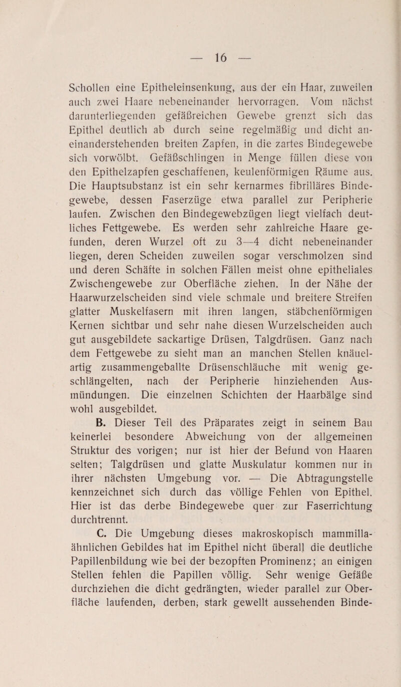 Schollen eine Epitheleinsenkung, aus der ein Haar, zuweilen auch zwei Haare nebeneinander hervorragen. Vom nächst darunterliegenden gefäßreichen Gewebe grenzt sich das Epithel deutlich ab durch seine regelmäßig und dicht an¬ einanderstehenden breiten Zapfen, in die zartes Bindegewebe sich vorwölbt. Gefäßschlingen in Menge füllen diese von den Epithelzapfen geschaffenen, keulenförmigen Räume aus. Die Hauptsubstanz ist ein sehr kernarmes fibrilläres Binde¬ gewebe, dessen Faserzüge etwa parallel zur Peripherie laufen. Zwischen den Bindegewebzügen liegt vielfach deut¬ liches Fettgewebe. Es werden sehr zahlreiche Haare ge¬ funden, deren Wurzel oft zu 3—4 dicht nebeneinander liegen, deren Scheiden zuweilen sogar verschmolzen sind und deren Schäfte in solchen Fällen meist ohne epitheliales Zwischengewebe zur Oberfläche ziehen. In der Nähe der Haarwurzelscheiden sind viele schmale und breitere Streifen glatter Muskelfasern mit ihren langen, stäbchenförmigen Kernen sichtbar und sehr nahe diesen Wurzelscheiden auch gut ausgebildete sackartige Drüsen, Talgdrüsen. Ganz nach dem Fettgewebe zu sieht man an manchen Stellen knäuel¬ artig zusammengeballte Drüsenschläuche mit wenig ge¬ schlängelten, nach der Peripherie hinziehenden Aus¬ mündungen. Die einzelnen Schichten der Haarbälge sind wohl ausgebildet. B. Dieser Teil des Präparates zeigt in seinem Bau keinerlei besondere Abweichung von der allgemeinen Struktur des vorigen; nur ist hier der Befund von Haaren selten; Talgdrüsen und glatte Muskulatur kommen nur in ihrer nächsten Umgebung vor. — Die Abtragungstelle kennzeichnet sich durch das völlige Fehlen von Epithel. Hier ist das derbe Bindegewebe quer zur Faserrichtung durchtrennt. C. Die Umgebung dieses makroskopisch mammilla- ähnlichen Gebildes hat im Epithel nicht überall die deutliche Papillenbildung wie bei der bezopften Prominenz; an einigen Stellen fehlen die Papillen völlig. Sehr wenige Gefäße durchziehen die dicht gedrängten, wieder parallel zur Ober¬ fläche laufenden, derben, stark gewellt aussehenden Binde-