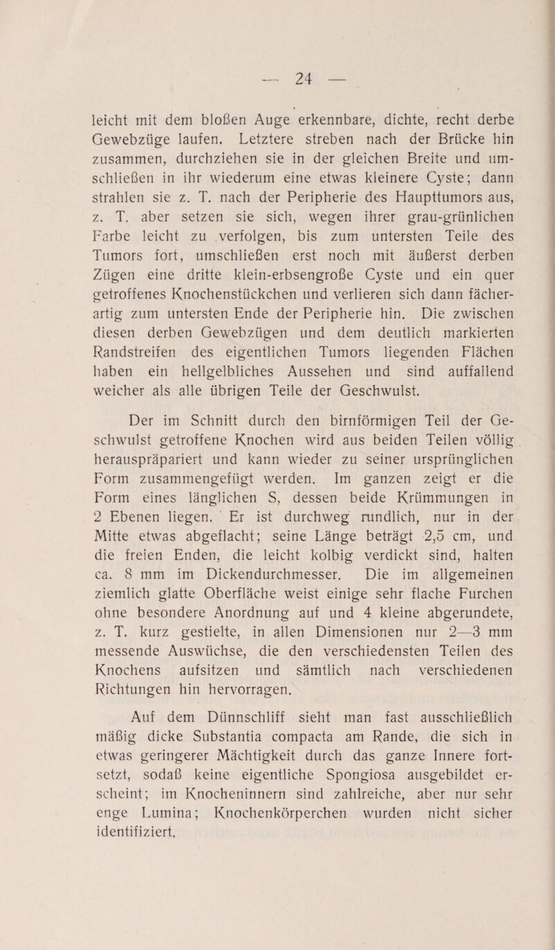 leicht mit dem bloßen Auge erkennbare, dichte, recht derbe Gewebziige laufen. Letztere streben nach der Brücke hin zusammen, durchziehen sie in der gleichen Breite und um¬ schließen in ihr wiederum eine etwas kleinere Cyste; dann strahlen sie z. T. nach der Peripherie des Haupttumors aus, z. T. aber setzen sie sich, wegen ihrer grau-grünlichen Farbe leicht zu verfolgen, bis zum untersten Teile des Tumors fort, umschließen erst noch mit äußerst derben Zügen eine dritte klein-erbsengroße Cyste und ein quer getroffenes Knochenstückchen und verlieren sich dann fächer¬ artig zum untersten Ende der Peripherie hin. Die zwischen diesen derben Gewebzügen und dem deutlich markierten Randstreifen des eigentlichen Tumors liegenden Flächen haben ein hellgelbliches Aussehen und sind auffallend weicher als alle übrigen Teile der Geschwulst. Der im Schnitt durch den bimförmigen Teil der Ge¬ schwulst getroffene Knochen wird aus beiden Teilen völlig herauspräpariert und kann wieder zu seiner ursprünglichen Form zusammengefügt werden. Im ganzen zeigt er die Form eines länglichen S, dessen beide Krümmungen in 2 Ebenen liegen. Er ist durchweg rundlich, nur in der Mitte etwas abgeflacht; seine Länge beträgt 2,5 cm, und die freien Enden, die leicht kolbig verdickt sind, halten ca. 8 mm im Dickendurchmesser. Die im allgemeinen ziemlich glatte Oberfläche weist einige sehr flache Furchen ohne besondere Anordnung auf und 4 kleine abgerundete, z. T. kurz gestielte, in allen Dimensionen nur 2—3 mm messende Auswüchse, die den verschiedensten Teilen des Knochens aufsitzen und sämtlich nach verschiedenen Richtungen hin hervorragen. Auf dem Dünnschliff sieht man fast ausschließlich mäßig dicke Substantia compacta am Rande, die sich in etwas geringerer Mächtigkeit durch das ganze Innere fort¬ setzt, sodaß keine eigentliche Spongiosa ausgebildet er¬ scheint; im Knocheninnern sind zahlreiche, aber nur sehr enge Lumina; Knochenkörperchen wurden nicht sicher identifiziert.