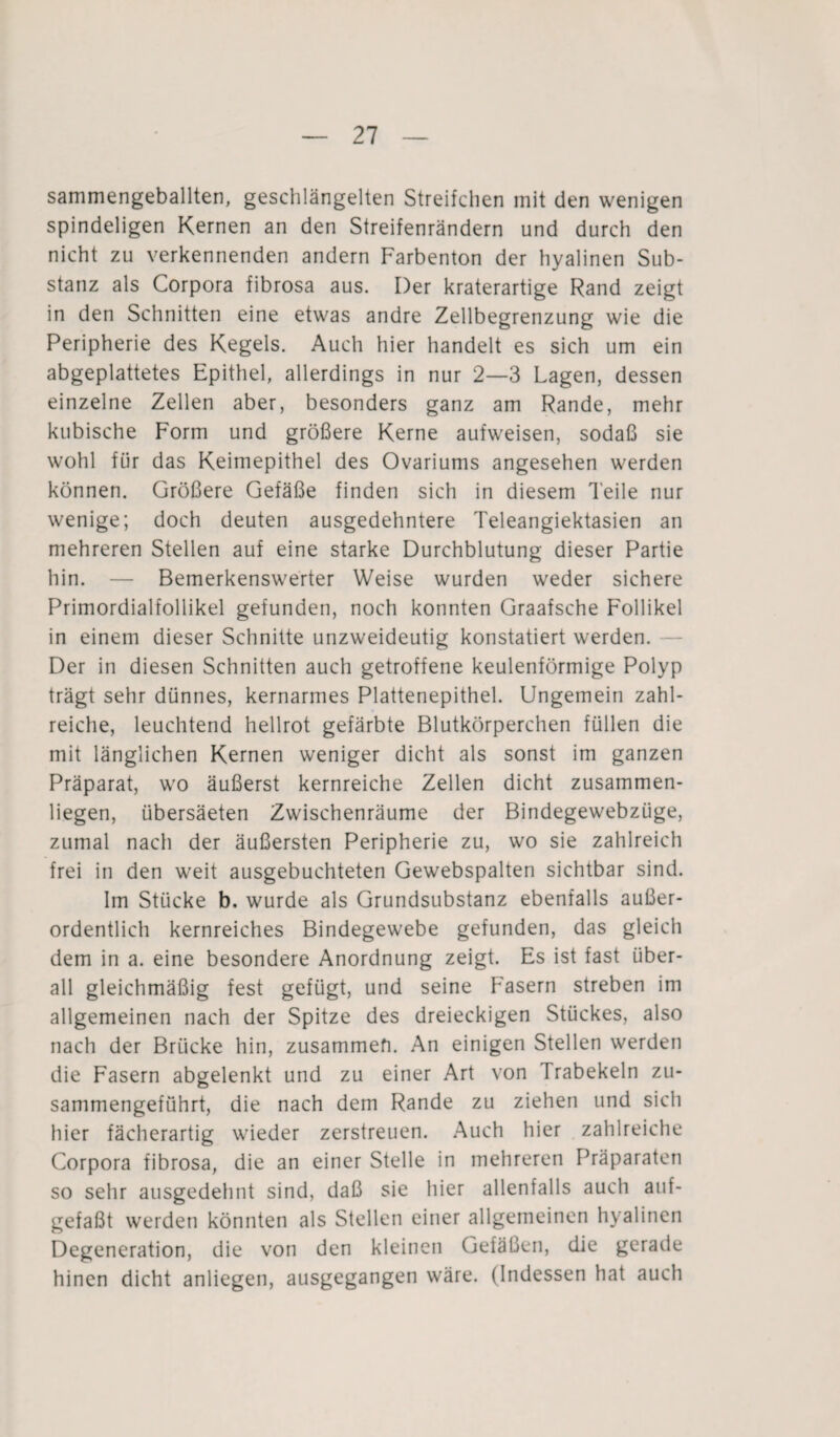 sammengeballten, geschlängelten Streifchen mit den wenigen spindeligen Kernen an den Streifenrändern und durch den nicht zu verkennenden andern Farbenton der hyalinen Sub¬ stanz als Corpora fibrosa aus. Der kraterartige Rand zeigt in den Schnitten eine etwas andre Zellbegrenzung wie die Peripherie des Kegels. Auch hier handelt es sich um ein abgeplattetes Epithel, allerdings in nur 2—3 Lagen, dessen einzelne Zellen aber, besonders ganz am Rande, mehr kubische Form und größere Kerne aufweisen, sodaß sie wohl für das Keimepithel des Ovariums angesehen werden können. Größere Gefäße finden sich in diesem Teile nur wenige; doch deuten ausgedehntere Teleangiektasien an mehreren Stellen auf eine starke Durchblutung dieser Partie hin. — Bemerkenswerter Weise wurden weder sichere Primordialfollikel gefunden, noch konnten Graafsche Follikel in einem dieser Schnitte unzweideutig konstatiert werden. Der in diesen Schnitten auch getroffene keulenförmige Polyp trägt sehr dünnes, kernarmes Plattenepithel. Ungemein zahl¬ reiche, leuchtend hellrot gefärbte Blutkörperchen füllen die mit länglichen Kernen weniger dicht als sonst im ganzen Präparat, wo äußerst kernreiche Zellen dicht zusammen¬ liegen, übersäeten Zwischenräume der Bindegewebziige, zumal nach der äußersten Peripherie zu, wo sie zahlreich frei in den weit ausgebuchteten Gewebspalten sichtbar sind. Im Stücke b, wurde als Grundsubstanz ebenfalls außer¬ ordentlich kernreiches Bindegewebe gefunden, das gleich dem in a. eine besondere Anordnung zeigt. Es ist fast über¬ all gleichmäßig fest gefügt, und seine Fasern streben im allgemeinen nach der Spitze des dreieckigen Stückes, also nach der Brücke hin, zusammen. An einigen Stellen werden die Fasern abgelenkt und zu einer Art von Trabekeln zu¬ sammengeführt, die nach dem Rande zu ziehen und sich hier fächerartig wieder zerstreuen. Auch hier zahlreiche Corpora fibrosa, die an einer Stelle in mehreren Präparaten so sehr ausgedehnt sind, daß sie hier allenfalls auch auf- gefaßt werden könnten als Stellen einer allgemeinen hyalinen Degeneration, die von den kleinen Gefäßen, die gerade hinen dicht anliegen, ausgegangen wäre. (Indessen hat auch