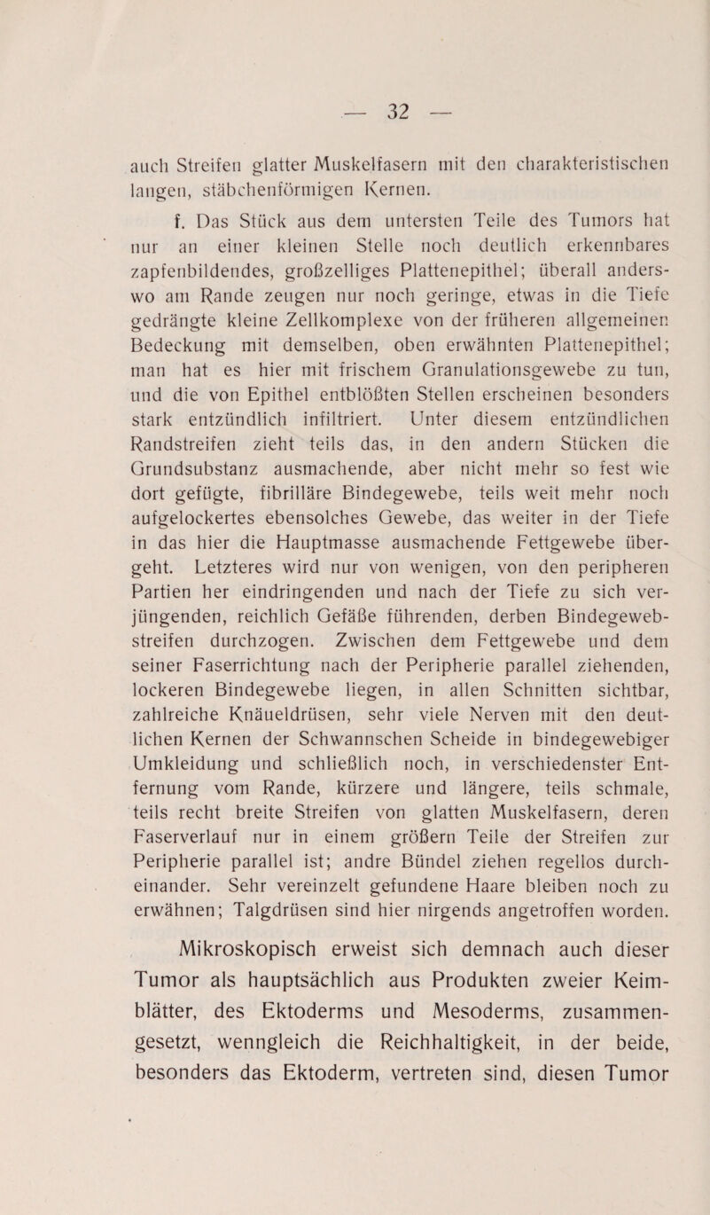 auch Streifen glatter Muskelfasern mit den charakteristischen langen, stäbchenförmigen Kernen. f. Das Stück aus dem untersten Teile des Tumors hat nur an einer kleinen Stelle noch deutlich erkennbares zapfenbildendes, großzelliges Plattenepithel; überall anders¬ wo am Rande zeugen nur noch geringe, etwas in die Tiefe gedrängte kleine Zellkomplexe von der früheren allgemeinen Bedeckung mit demselben, oben erwähnten Plattenepithel; man hat es hier mit frischem Granulationsgewebe zu tun, und die von Epithel entblößten Stellen erscheinen besonders stark entzündlich infiltriert. Unter diesem entzündlichen Randstreifen zieht teils das, in den andern Stücken die Grundsubstanz ausmachende, aber nicht mehr so fest wie dort gefügte, fibrilläre Bindegewebe, teils weit mehr noch aufgelockertes ebensolches Gewebe, das weiter in der Tiefe in das hier die Hauptmasse ausmachende Fettgewebe über¬ geht. Letzteres wird nur von wenigen, von den peripheren Partien her eindringenden und nach der Tiefe zu sich ver¬ jüngenden, reichlich Gefäße führenden, derben Bindegeweb- streifen durchzogen. Zwischen dem Fettgewebe und dem seiner Faserrichtung nach der Peripherie parallel ziehenden, lockeren Bindegewebe liegen, in allen Schnitten sichtbar, zahlreiche Knäueldrüsen, sehr viele Nerven mit den deut¬ lichen Kernen der Schwannschen Scheide in bindegewebiger Umkleidung und schließlich noch, in verschiedenster Ent¬ fernung vom Rande, kürzere und längere, teils schmale, teils recht breite Streifen von glatten Muskelfasern, deren Faserverlauf nur in einem großem Teile der Streifen zur Peripherie parallel ist; andre Bündel ziehen regellos durch¬ einander. Sehr vereinzelt gefundene Haare bleiben noch zu erwähnen; Talgdrüsen sind hier nirgends angetroffen worden. Mikroskopisch erweist sich demnach auch dieser Tumor als hauptsächlich aus Produkten zweier Keim¬ blätter, des Ektoderms und Mesoderms, zusammen¬ gesetzt, wenngleich die Reichhaltigkeit, in der beide, besonders das Ektoderm, vertreten sind, diesen Tumor