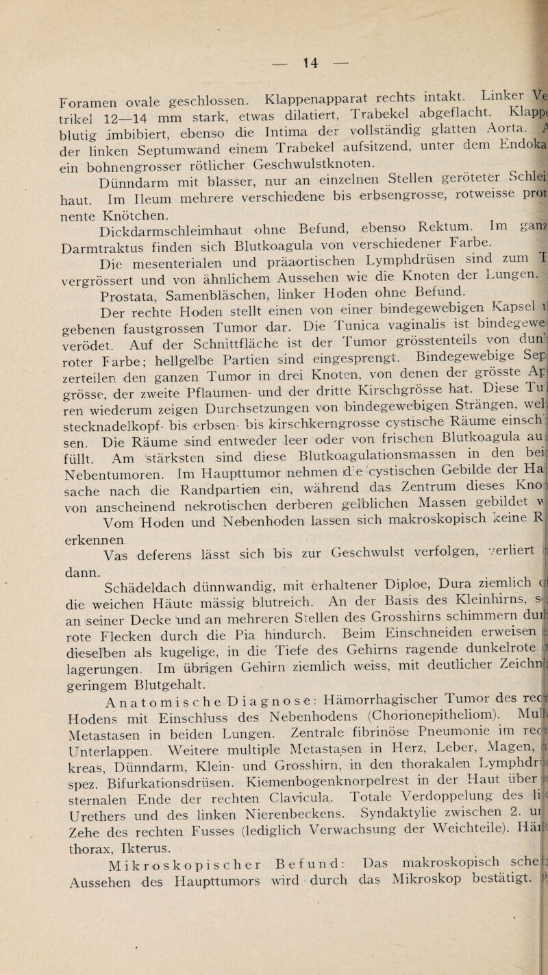14 Foramen ovale geschlossen. Klappenapparat rechts intakt. Linker Ve trikel 12—14 mm stark, etwas dilatiert, Trabekel abgeflacht. Klappe blutig imbibiert, ebenso die Intima der vollständig glatten Aorta. P der linken Septumwand einem Trabekel auf sitzend, unter dem Endoka ein bohnengrosser rötlicher Geschwulstknoten. Dünndarm mit blasser, nur an einzelnen Stellen geröteter Schlei: haut. Im Ileum mehrere verschiedene bis erbsengrosse, rotweisse pror nente Knötchen. Dickdarmschleimhaut ohne Befund, ebenso Rektum. Im ganz Darmtraktus finden sich Blutkoagula von verschiedener Farbe. Die mesenterialen und präaortischen Lymphdrüsen sind zum I vergrössert und von ähnlichem Aussehen wie die Knoten der Lungen. Prostata, Samenbläschen, linker Hoden ohne Befund. Der rechte Hoden stellt einen von einer bindegewebigen Kapsel i gebenen faustgrossen Tumor dar. Die Tunica vaginalis ist bindegewei verödet. Auf der Schnittfläche ist der Tumor grösstenteils von dun- roter Farbe; hellgelbe Partien sind eingesprengt. ^ Bindegewebige Sep zerteilen den ganzen Tumor in drei Knoten, von denen der grösste Ara grosse, der zweite Pflaumen- und der dritte Kirschgrösse hat. Diese Tu! ren wiederum zeigen Durchsetzungen von bindegewebigen Strängen, veh Stecknadelkopf- bis erbsen- bis kirschkerngrosse cystische Räume emsch: sen. Die Räume sind entweder leer oder von frischen Blutkoagula auj füllt. Am 'stärksten sind diese Blutkoagulationsmassen in den bei: Nebentumoren. Im Haupttumor nehmen die dystischen Gebilde der Ha sache nach, die Randpartien ein, während das Zentrum dieses Kno | von anscheinend nekrotischen derberen gelblichen Massen gebildet v Vom Hoden und Nebenhoden lassen sich makroskopisch keine R erkennen Vas deferens lässt sich bis zur Geschwulst verfolgen, verliert jj dann. . Schädeldach dünnwandig, mit erhaltener Diploe, Dura ziemlich c| die weichen Häute massig blutreich. An der Basis des Kleinhirns, s< j an {seiner Decke und an mehreren Stellen des Grosshirns schimmern dui| rote Flecken durch die Pia hindurch. Beim Einschneiden erweisen i dieselben als kugelige, in die Tiefe des Gehirns ragende dunkelrote | lagerungen. Im übrigen Gehirn ziemlich weiss, mit deutlicher /.eiend, geringem Blutgehalt. Anatomische Diagnose: Hämorrhagischer Tumoi des iec r Hodens mit Einschluss des Nebenhodens (Chorionepitheliom). Muk Metastasen in beiden Lungen. Zentrale fibrinöse Pneumonie im recB Unterlappen. Weitere multiple Metastasen in Herz, Leber, Magen, :i kreas, Dünndarm, Klein- und Grosshirn, in den thorakalen Lymphdrij spez. Bifurkationsdrüsen. Kiemenbogenknorpelrest in der Haut über ® sternalen Ende der rechten Clavicula. Fötale Verdoppelung des li * Urethers und des linken Nierenbeckens. Syndaktylie zwischen 2. ui Zehe des rechten Fusses (lediglich Verwachsung der Weichteile). Häii thorax, Ikterus. Mikroskopischer Befund: Das makroskopisch sehe b