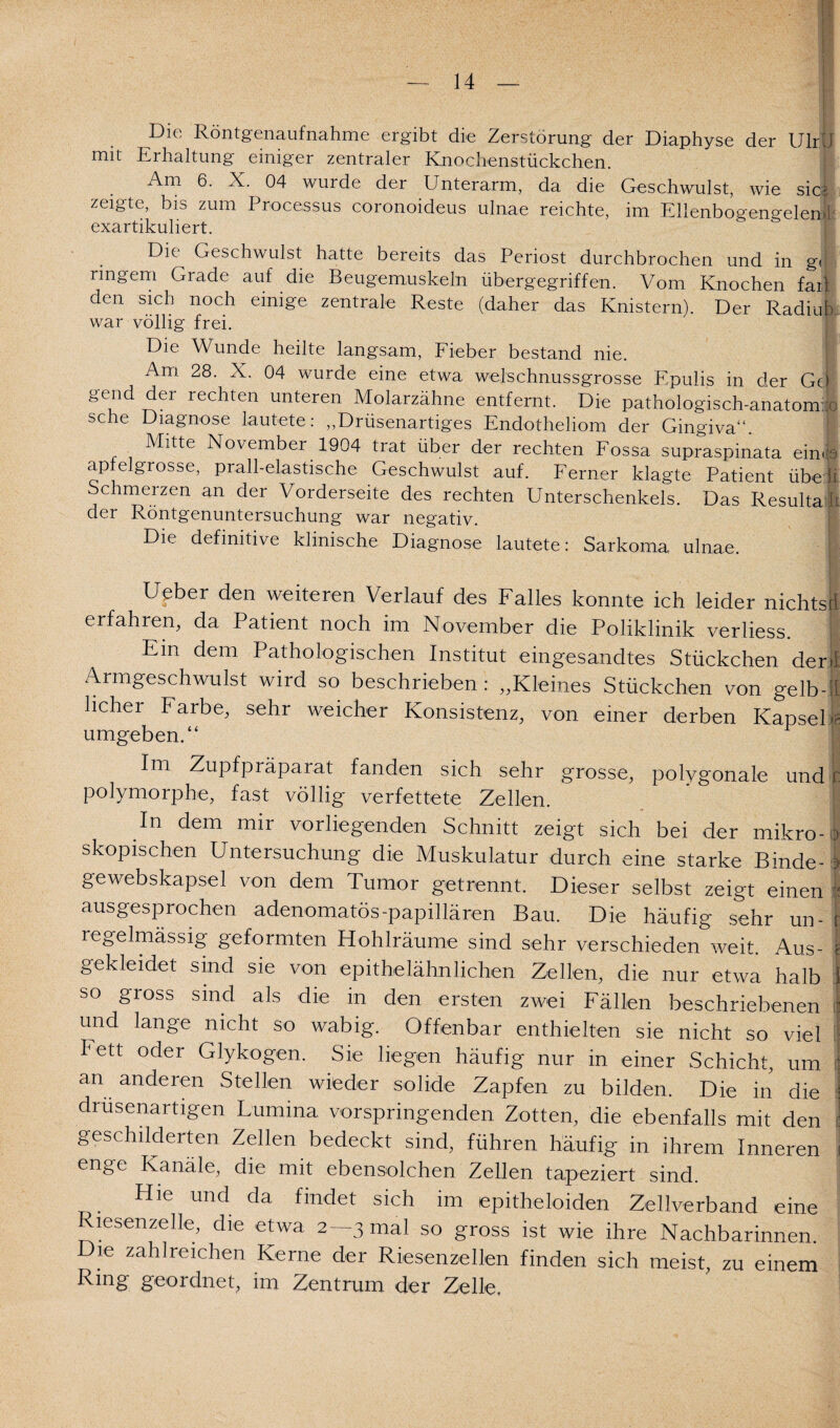Die Röntgenaufnahme ergibt die Zerstörung der Diaphyse der Ulr J mit Erhaltung einiger zentraler Knochenstückchen. Am 6. X. 04 wurde der Unterarm, da die Geschwulst, wie sici zeigte, bis zum Processus coronoideus ulnae reichte, im Eilenbogengelemi exartikuliert. Die Geschwulst hatte bereits das Periost durchbrochen und in g. ringern Grade auf die Beugemuskeln übergegriffen. Vom Knochen fall den sich noch einige zentrale Reste (daher das Knistern). Der Radiub war völlig frei. Die Wunde heilte langsam, Fieber bestand nie. I Am 28. X. 04 wurde eine etwa welschnussgrosse P'pulis in der Gel gend der rechten unteren Molarzähne entfernt. Die pathologisch-anatomro sehe Diagnose lautete: „Drüsenartiges Endotheliom der Gingiva“ Mitte November 1904 trat Über der rechten Fossa supraspinata ein* aptelgrosse, prall-elastische Geschwulst auf. Ferner klagte Patient übe li Schmerzen an der Vorderseite des rechten Unterschenkels. Das Resulta ü der Röntgenuntersuchung war negativ. Die definitive klinische Diagnose lautete: Sarkoma ulnae. j Ueber den weiteren Verlauf des Falles konnte ich leider nichtsd erfahren, da Patient noch im November die Poliklinik verliess. 1‘ Ein dem Pathologischen Institut eingesandtes Stückchen der.) Arnigeschwulst wird so beschrieben: „Kleines Stückchen von gelb-jl licher Farbe, sehr weicher Konsistenz, von einer derben Kapsel 4 umgeben.“ Im Zupfpräpaiat fanden sich sehr grosse, polygonale und c polymorphe, fast völlig verfettete Zellen. ' 1 In dem mir vorliegenden Schnitt zeigt sich bei der mikro- :> skopischen Untersuchung die Muskulatur durch eine starke Binde- o gewebskapsel von dem Tumor getrennt. Dieser selbst zeigt einen I ausgesprochen adenomatös-papillären Bau. Die häufig sehr un- r regelmässig geformten Hohlräume sind sehr verschieden weit. Aus- \ gekleidet sind sie von epithelähnlichen Zellen, die nur etwa halb 1 so gross sind als die in den ersten zwei Fällen beschriebenen ! und lange nicht so wabig. Offenbar enthielten sie nicht so viel i fett oder Glykogen. Sie liegen häufig nur in einer Schicht, um : an anderen Stellen wieder solide Zapfen zu bilden. Die in die ! drusenartigen Lumina vorspringenden Zotten, die ebenfalls mit den geschilderten Zellen bedeckt sind, führen häufig in ihrem Inneren i enge Kanäle, die mit ebensolchen Zellen tapeziert sind. Hie und da findet sich im epitheloiden Zellverband eine Riesenzelle, die etwa 2-3 mal so gross ist wie ihre Nachbarinnen. Die zahlreichen Kerne der Riesenzellen finden sich meist, zu einem Ring geordnet, im Zentrum der Zelle.