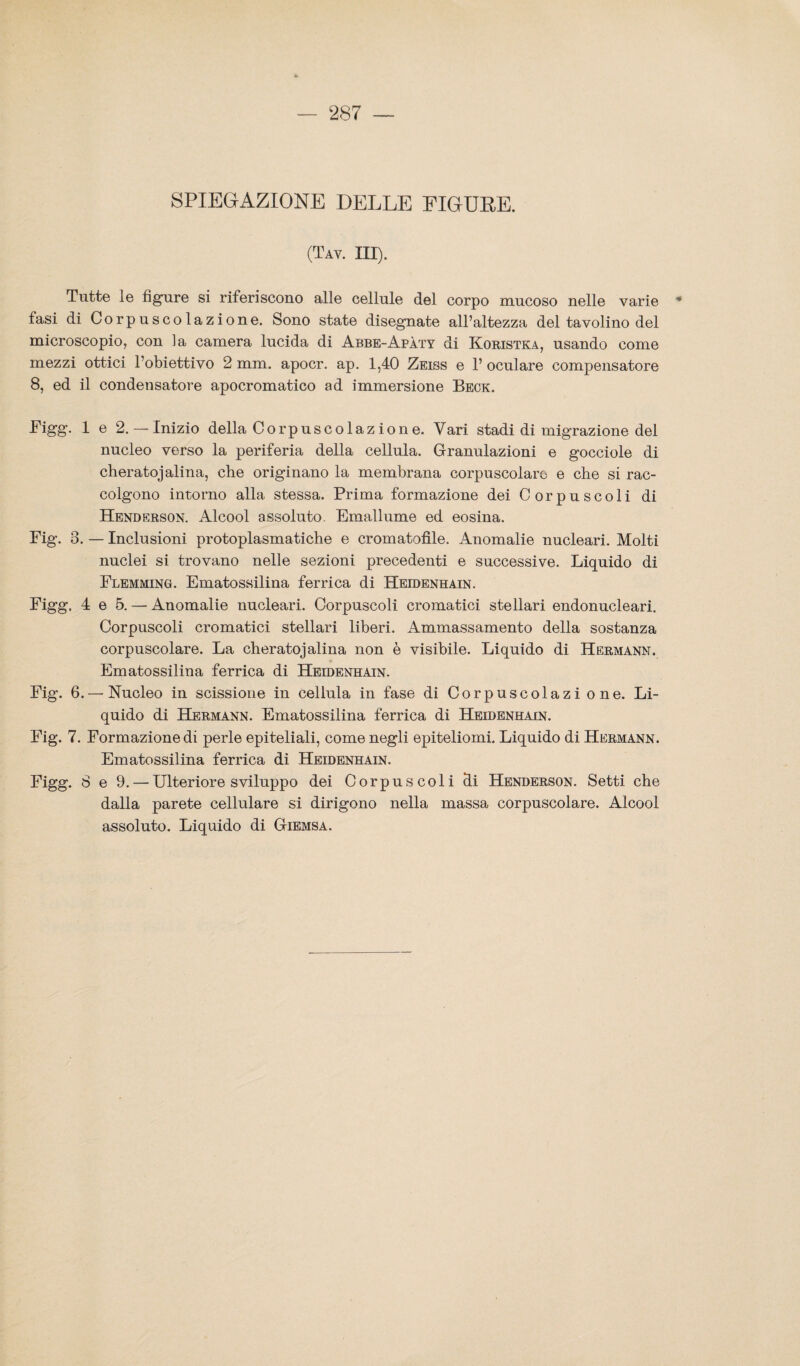 SPIEGAZIONE DELLE FIGURE. (Tay. III). Tutte le figure si riferiscono alle cellule del corpo mucoso nelle varie * tasi di Corpuscolazione. Sono state disegnate all’altezza del tavolino del microscopio, con la camera lucida di Abbe-Apàty di Koristka, usando come mezzi ottici l’obiettivo 2 mm. apocr. ap. 1,40 Zeiss e 1’ oculare compensatore 8, ed il condensatore apocromatico ad immersione Beck. Figg. 1 e 2.— Inizio della Corpuscolazione. Vari stadi di migrazione del nucleo verso la periferia della cellula. Granulazioni e gocciole di cheratoj alina, che originano la membrana corpuscolare e che si rac¬ colgono intorno alla stessa. Prima formazione dei Corpuscoli di Henderson. Alcool assoluto. Emallume ed eosina. Fig. 3. — Inclusioni protoplasmatiche e cromatofile. Anomalie nucleari. Molti nuclei si trovano nelle sezioni precedenti e successive. Liquido di Flemming. Ematossilina ferrica di Heidenhain. Figg. 4 e 5. — Anomalie nucleari. Corpuscoli cromatici stellari endonucleari. Corpuscoli cromatici stellari liberi. Ammassamento della sostanza corpuscolare. La cheratoj alina non è visibile. Liquido di Hermann. Ematossilina ferrica di Heidenhain. Fig. 6. — Nucleo in scissione in cellula in fase di Corpuscolazione. Li¬ quido di Hermann. Ematossilina ferrica di Heidenhain. Fig. 7. Formazione di perle epiteliali, come negli epiteliomi. Liquido di Hermann. Ematossilina ferrica di Heidenhain. Figg. 8 e 9. — Ulteriore sviluppo dei Corpuscoli di Henderson. Setti che dalla parete cellulare si dirigono nella massa corpuscolare. Alcool assoluto. Liquido di Giemsa.