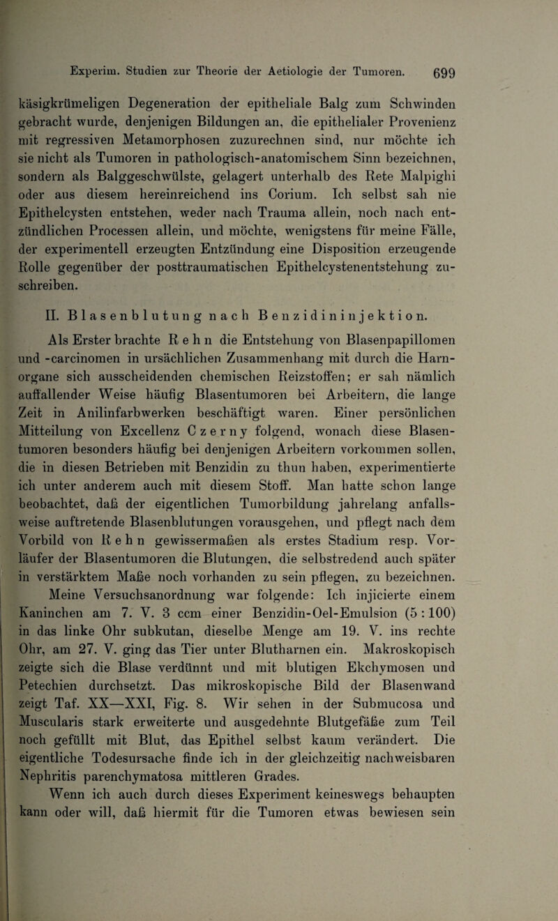 käsigkrümeligen Degeneration der epitheliale Balg zum Schwinden gebracht wurde, denjenigen Bildungen an, die epithelialer Provenienz mit regressiven Metamorphosen zuzurechnen sind, nur möchte ich sie nicht als Tumoren in pathologisch-anatomischem Sinn bezeichnen, sondern als Balggeschwülste, gelagert unterhalb des Rete Malpighi oder aus diesem hereinreichend ins Corium. Ich selbst sah nie Epithelcysten entstehen, weder nach Trauma allein, noch nach ent¬ zündlichen Processen allein, und möchte, wenigstens für meine Fälle, der experimentell erzeugten Entzündung eine Disposition erzeugende Rolle gegenüber dev posttraumatischen Epithelcystenentstehung zu¬ schreiben. II. Blasenblutung nach Benzidininjektion. Als Erster brachte R e h n die Entstehung von Blasenpapillomen und -carcinomen in ursächlichen Zusammenhang mit durch die Harn¬ organe sich ausscheidenden chemischen Reizstoffen; er sah nämlich auffallender Weise häufig Blasentumoren bei Arbeitern, die lange Zeit in Anilinfarbwerken beschäftigt waren. Einer persönlichen Mitteilung von Excellenz Czerny folgend, wonach diese Blasen¬ tumoren besonders häufig bei denjenigen Arbeitern Vorkommen sollen, die in diesen Betrieben mit Benzidin zu thun haben, experimentierte ich unter anderem auch mit diesem Stoff. Man hatte schon lange beobachtet, daß der eigentlichen Tumorbildung jahrelang anfalls¬ weise auftretende Blasenblutungen vorausgehen, und pflegt nach dem Vorbild von R e h n gewissermaßen als erstes Stadium resp. Vor¬ läufer der Blasentumoren die Blutungen, die selbstredend auch später in verstärktem Maße noch vorhanden zu sein pflegen, zu bezeichnen. Meine Versuchsanordnung war folgende: Ich injicierte einem Kaninchen am 7. V. 3 ccm einer Benzidin-Oel-Emulsion (5 :100) in das linke Ohr subkutan, dieselbe Menge am 19. V. ins rechte Ohr, am 27. V. ging das Tier unter Blutharnen ein. Makroskopisch zeigte sich die Blase verdünnt und mit blutigen Ekchymosen und Petechien durchsetzt. Das mikroskopische Bild der Blasenwand zeigt Taf. XX—XXI, Fig. 8. Wir sehen in der Submucosa und Muscularis stark erweiterte und ausgedehnte Blutgefäße zum Teil noch gefüllt mit Blut, das Epithel selbst kaum verändert. Die eigentliche Todesursache finde ich in der gleichzeitig nachweisbaren Nephritis parenchymatosa mittleren Grades. Wenn ich auch durch dieses Experiment keineswegs behaupten kann oder will, daß hiermit für die Tumoren etwas bewiesen sein