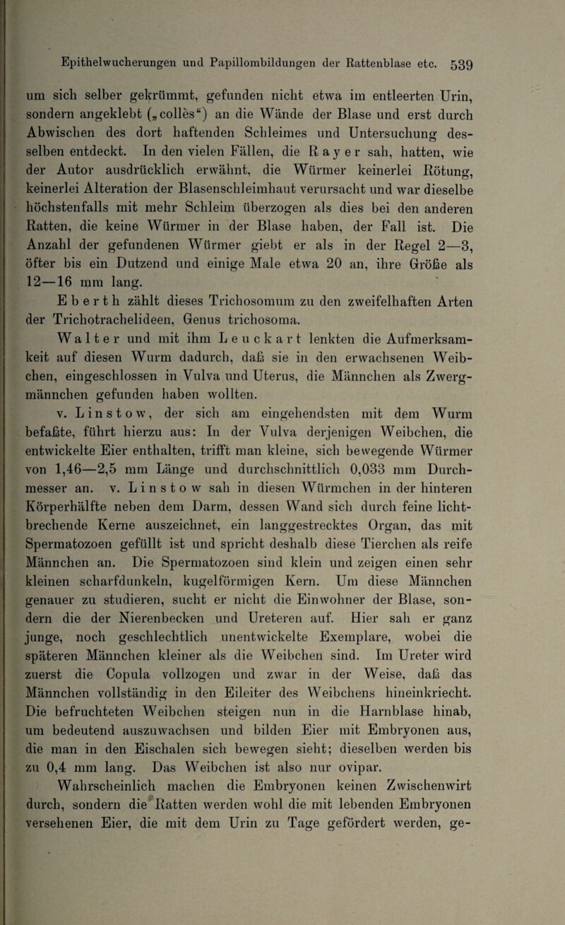 um sich selber gekrümmt, gefunden nicht etwa im entleerten Urin, sondern angeklebt („colles“) an die Wände der Blase und erst durch Abwischen des dort haftenden Schleimes und Untersuchung des- selben entdeckt. In den vielen Fällen, die Bayer sah, hatten, wie der Autor ausdrücklich erwähnt, die Würmer keinerlei Rötuncr o * keinerlei Alteration der Blasenschleimhaut verursacht und war dieselbe höchstenfalls mit mehr Schleim überzogen als dies bei den anderen Ratten, die keine Würmer in der Blase haben, der Fall ist. Die Anzahl der gefundenen Würmer giebt er als in der Regel 2—3, öfter bis ein Dutzend und einige Male etwa 20 an, ihre Größe als 12—16 mm lang. Eberth zählt dieses Trichosomum zu den zweifelhaften Arten der Trichotrachelideen, Genus trichosoma. Walter und mit ihm Leuckart lenkten die Aufmerksam¬ keit auf diesen Wurm dadurch, daß sie in den erwachsenen Weib¬ chen, eingeschlossen in Vulva und Uterus, die Männchen als Zwerg¬ männchen gefunden haben wollten. v. Lin stow, der sich am eingehendsten mit dem Wurm befaßte, führt hierzu aus: In der Vulva derjenigen Weibchen, die entwickelte Eier enthalten, trifft man kleine, sich bewegende Würmer von 1,46—2,5 mm Länge und durchschnittlich 0,033 mm Durch¬ messer an. v. Linstow sah in diesen Würmchen in der hinteren Körperhälfte neben dem Darm, dessen Wand sich durch feine licht¬ brechende Kerne auszeichnet, ein langgestrecktes Organ, das mit Spermatozoen gefüllt ist und spricht deshalb diese Tierchen als reife Männchen an. Die Spermatozoen sind klein und zeigen einen sein- kleinen scharfdunkeln, kugelförmigen Kern. Um diese Männchen genauer zu studieren, sucht er nicht die Einwohner der Blase, son¬ dern die der Nierenbecken und Ureteren auf. Hier sah er ganz junge, noch geschlechtlich unentwickelte Exemplare, wobei die späteren Männchen kleiner als die Weibchen sind. Im Ureter wird zuerst die Copula vollzogen und zwar in der Weise, daß das Männchen vollständig in den Eileiter des Weibchens hineinkriecht. Die befruchteten Weibchen steigen nun in die Harnblase hinab, um bedeutend auszuwachsen und bilden Eier mit Embryonen aus, die man in den Eischalen sich bewegen sieht; dieselben werden bis zu 0,4 mm lang. Das Weibchen ist also nur ovipar. Wahrscheinlich machen die Embryonen keinen Zwischenwirt durch, sondern die Ratten werden wohl die mit lebenden Embryonen versehenen Eier, die mit dem Urin zu Tage gefördert werden, ge-