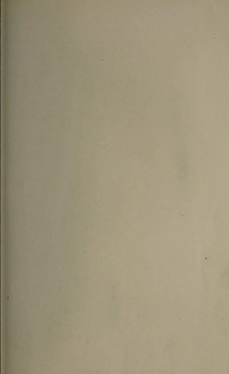 .. * B ' • - ■ • •