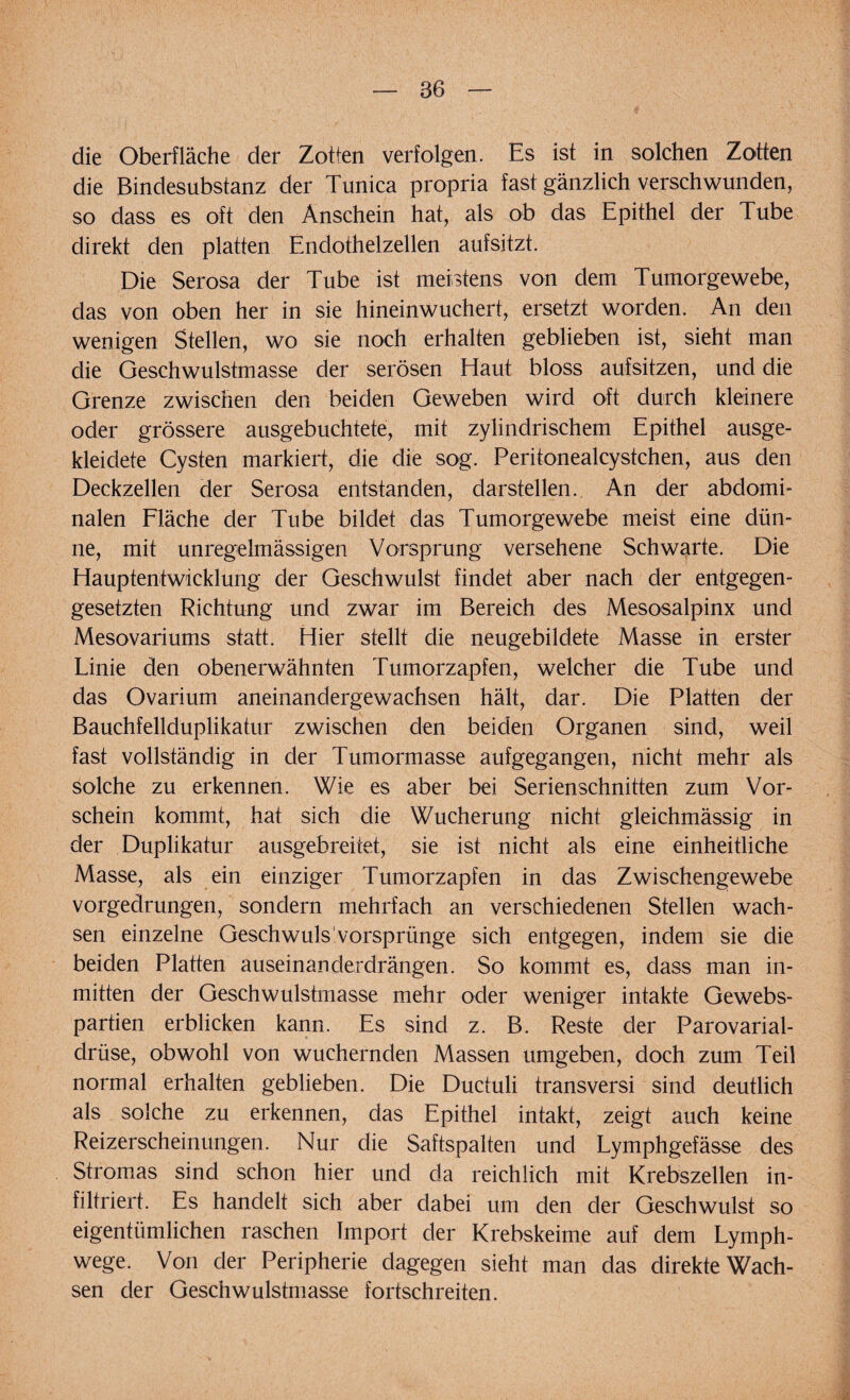 die Oberfläche cler Zotten verfolgen. Es ist in solchen Zotten die Bindesubstanz der Tunica propria fast gänzlich verschwunden, so dass es oft den Anschein hat, als ob das Epithel der Tube direkt den platten Endothelzellen aufsitzt. Die Serosa der Tube ist meistens von dem Tumorgewebe, das von oben her in sie hineinwuchert, ersetzt worden. An den wenigen Stellen, wo sie noch erhalten geblieben ist, sieht man die Geschwulstmasse der serösen Haut bloss aufsitzen, und die Grenze zwischen den beiden Geweben wird oft durch kleinere oder grössere ausgebuchtete, mit zylindrischem Epithel ausge¬ kleidete Cysten markiert, die die sog. Peritonealcystchen, aus den Deckzellen der Serosa entstanden, darstellen. An der abdomi¬ nalen Fläche der Tube bildet das Tumorgewebe meist eine dün¬ ne, mit unregelmässigen Vorsprung versehene Schwarte. Die Hauptentwicklung der Geschwulst findet aber nach der entgegen¬ gesetzten Richtung und zwar im Bereich des Mesosalpinx und Mesovariums statt. Hier stellt die neugebildete Masse in erster Linie den obenerwähnten Tumorzapfen, welcher die Tube und das Ovarium aneinandergewachsen hält, dar. Die Platten der Bauchfellduplikatur zwischen den beiden Organen sind, weil fast vollständig in der Tumormasse aufgegangen, nicht mehr als solche zu erkennen. Wie es aber bei Serienschnitten zum Vor¬ schein kommt, hat sich die Wucherung nicht gleichmässig in der Duplikatur ausgebreitet, sie ist nicht als eine einheitliche Masse, als ein einziger Tumorzapfen in das Zwischengewebe vorgedrungen, sondern mehrfach an verschiedenen Stellen wach¬ sen einzelne GeschwulsVorsprünge sich entgegen, indem sie die beiden Platten auseinanderdrängen. So kommt es, dass man in¬ mitten der Geschwulstmasse mehr oder weniger intakte Gewebs- partien erblicken kann. Es sind z. B. Reste der Parovarial- drüse, obwohl von wuchernden Massen umgeben, doch zum Teil normal erhalten geblieben. Die Ductuli transversi sind deutlich als solche zu erkennen, das Epithel intakt, zeigt auch keine Reizerscheinungen. Nur die Saftspalten und Lymphgefässe des Stromas sind schon hier und da reichlich mit Krebszellen in¬ filtriert. Es handelt sich aber dabei um den der Geschwulst so eigentümlichen raschen Import der Krebskeime auf dem Lymph- wege. Von der Peripherie dagegen sieht man das direkte Wach¬ sen der Geschwulstmasse fortschreiten.