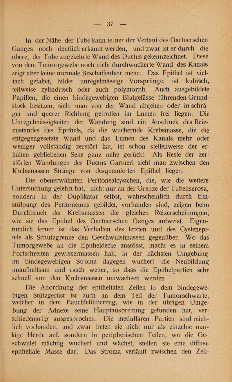 ln der Nähe der Tube kann feiner der Verlauf des Gartnerschen Ganges noch deutlich erkannt werden, und zwar ist er durch die obere, der Tube zugekehrte Wand des Ductus gekennzeichnet. Diese von dem Tumorgewebe noch nicht durchwucherte Wand des Kanals zeigt aber keine normale Beschaffenheit mehr. Das Epithel ist viel¬ fach gefaltet, bildet unregelmässige Vorsprünge, ist kubisch, teilweise zylindrisch oder auch polymorph. Auch ausgebildete Papillen, die einen bindegewebigen Blutgefässe führenden Grund¬ stock besitzen, sieht man von der Wand abgehen oder in schrä¬ ger und querer Richtung getroffen im Lumen frei liegen. Die Unregelmässigkeiten der Wandung sind ein Ausdruck des Reiz¬ zustandes des Epühels, da die wuchernde Krebsmasse, die die entgegengesetzte Wand und das Lumen des Kanals mehr oder weniger vollständig zerstört hat, ist schon stellenweise der er¬ halten gebliebenen Seite ganz nahe gerückt. Als Reste der zer¬ störten Wandungen des Ductus Gartneri sieht man zwischen den Krebsmassen Stränge von desquamierten Epithel liegen. Die obenerwähnten Peritonealcystchen, die, wie die weitere Untersuchung gelehrt hat, nicht nur an der Grenze der Tubenserosa, sondern in der Duplikatur selbst, wahrscheinlich durch Ein¬ stülpung des Peritoneums gebildet, vorhanden sind, zeigen beim Durchbruch der Krebsmassen die gleichen Reizerscheinungen, wie sie das Epithel des Gartnerschen Ganges aufweist. Eigen¬ tümlich ferner ist das Verhalten des letzten und des Cystenepi- tels als Schutzgrenze den Geschwulstmassen gegenüber. Wo das Tumorgewebe an die Epitheldecke anstösst, macht es in seinem Fortschreiten gewissermassen halt, in der nächsten Umgebung im bindegewebigen Stroma dagegen wuchert die Neubildung unaufhaltsam und rasch weiter, so dass die Epithelpartien sehr schnell von den Krebsmassen umwachsen werden. Die Anordnung der epithelialen Zellen in dem bindegewe¬ bigen Stützgerüst ist auch an dem Teil der Tumorschwarte, welcher in dem Bauchfellüberzug, wie in der übrigen Umge¬ bung der Adnexe seine Hauptausbreitung gefunden hat, ver¬ schiedenartig ausgesprochen. Die medullären . Partien sind reich¬ lich vorhanden, und zwar treten sie nicht nur als einzelne mar¬ kige Herde auf, sondern in peripherischen Teilen, wo die Ge¬ schwulst mächtig wuchert und wächst, stellen sie eine diffuse epitheliale Masse dar. Das Stroma verläuft zwischen den Zell-