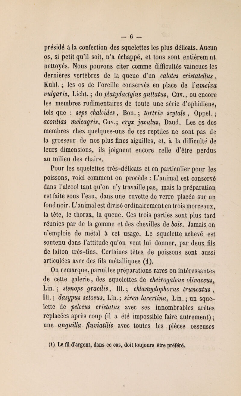 présidé à la confection des squelettes les plus délicats. Aucun os, si petit qu’il soit, n’a échappé, et tous sont entièrem ni nettoyés. Nous pouvons citer comme difficultés vaincues les dernières vertèbres de la queue d’un caloles cristatellus, Kuhl. ; les os de l’oreille conservés en place de Yameiva vulgaris, Licht. ; du platydactylus guttatus, Cuv., ou encore les membres rudimentaires de toute une série d’ophidiens, tels que : seps chalcides, Bon. ; tortrix scytale, Oppel. ; acontias meleagris, Cuv.; eryx jaculus, Daud. Les os des membres chez quelques-uns de ces reptiles ne sont pas de la grosseur de nos plus fines aiguilles, et, à la difficulté de leurs dimensions, ils joignent encore celle d’être perdus au milieu des chairs. Pour les squelettes très-délicats et en particulier pour les poissons, voici comment on procède : L’animal est conservé dans l’alcool tant qu’on n’y travaille pas, mais la préparation est faite sous l’eau, dans une cuvette de verre placée sur un fond noir. L’animal est divisé ordinairement en trois morceaux, la tête, le thorax, la queue. Ces trois parties sont plus tard réunies par de la gomme et des chevilles de bois. Jamais on n’emploie de métal à cet usage. Le squelette achevé est soutenu dans l’attitude qu’on veut lui donner, par deux fils de laiton très-fins. Certaines têtes de poissons sont aussi articulées avec des fils métalliques (1). On remarque, parmi les préparations rares ou intéressantes de cette galerie, des squelettes de cheirogaleus olivaceus, Lin.; stenops gracilis, 111. ; chlamydophorus truncatus , 111. ; dasypus setosus, Lin.; siren lacertina, Lin. ; un sque¬ lette de pelecus cristatus avec ses innombrables arêtes replacées après coup (il a été impossible faire autrement) ; une anguilla fluviatilis avec toutes les pièces osseuses (f) Le fil d’argent, dans ce cas, doit toujours être préféré. *