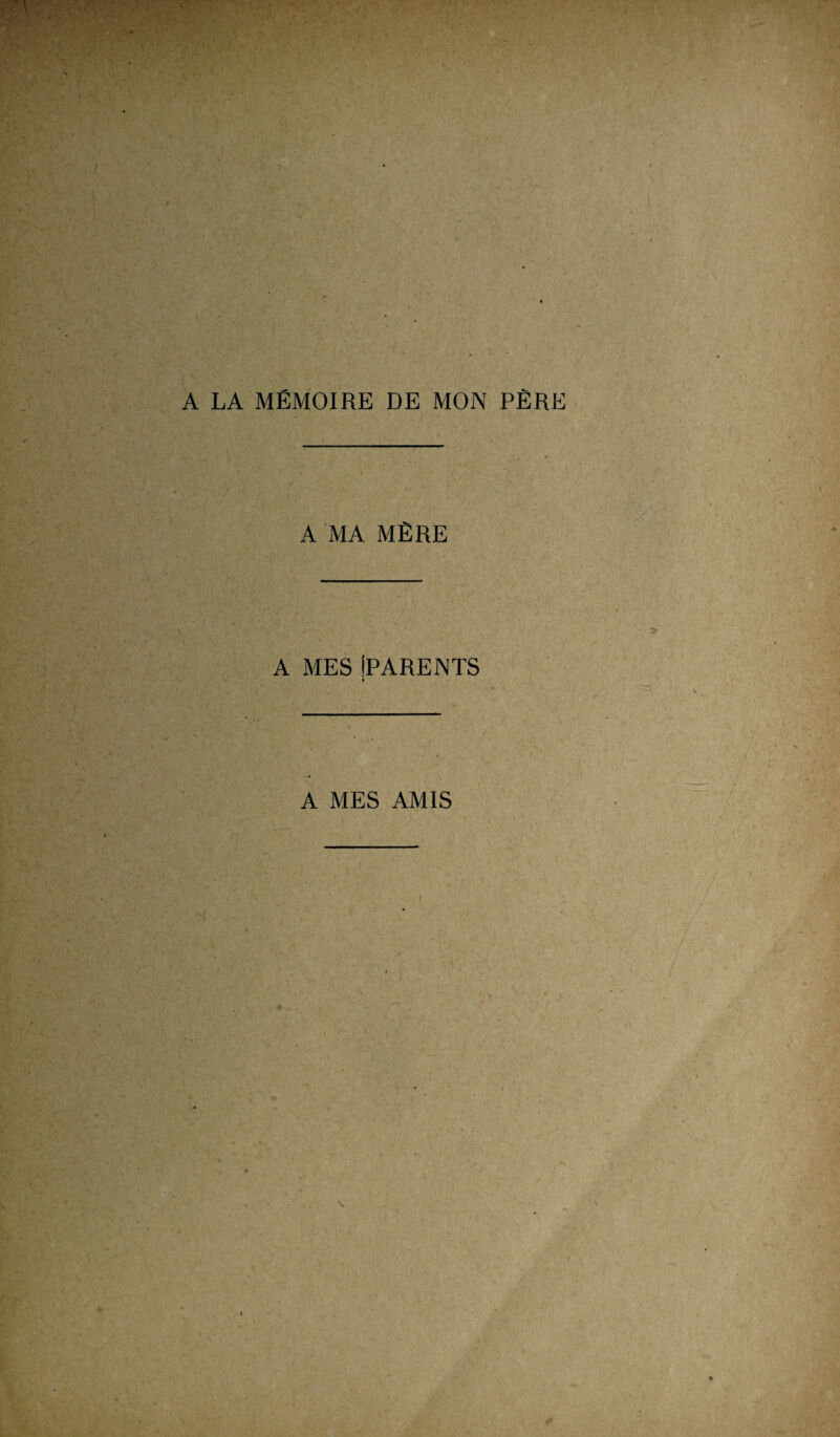 A LA MEMOIRE DE MON PERE A MA MERE A MES iPARENTS h A MES AMIS