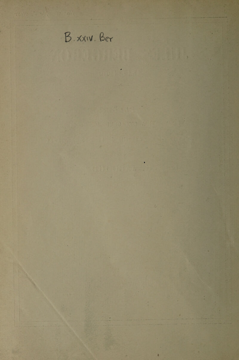 3 XX'V. Ber I - ’ ► s' 9 I V. « * *
