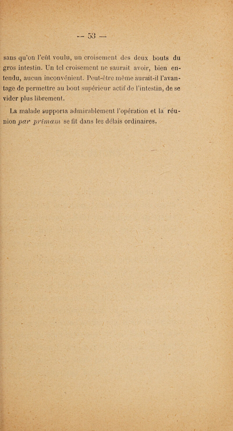 sans qu’on l’eût voulu, un croisement des deux bouts du gros intestin. Un tel croisement ne saurait avoir, bien en¬ tendu, aucun inconvénient. Peut-être même aurait-il l’avan¬ tage de permettre au bout supérieur actif de l’intestin, de se vider plus librement. La malade supporta admirablement l’opération et la réu¬ nion par primant se fit dans les délais ordinaires,