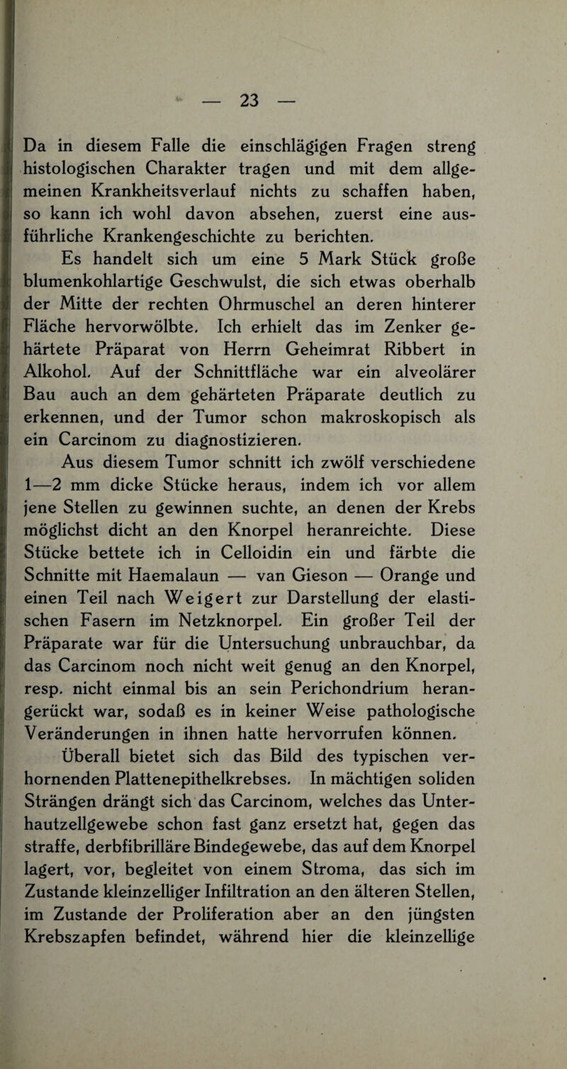 Da in diesem Falle die einschlägigen Fragen streng histologischen Charakter tragen und mit dem allge¬ meinen Krankheitsverlauf nichts zu schaffen haben, so kann ich wohl davon absehen, zuerst eine aus¬ führliche Krankengeschichte zu berichten. Es handelt sich um eine 5 Mark Stück große blumenkohlartige Geschwulst, die sich etwas oberhalb der Mitte der rechten Ohrmuschel an deren hinterer Fläche hervorwölbte. Ich erhielt das im Zenker ge- ! härtete Präparat von Herrn Geheimrat Ribbert in Alkohol. Auf der Schnittfläche war ein alveolärer Bau auch an dem gehärteten Präparate deutlich zu erkennen, und der Tumor schon makroskopisch als ein Carcinom zu diagnostizieren. Aus diesem Tumor schnitt ich zwölf verschiedene 1—2 mm dicke Stücke heraus, indem ich vor allem jene Stellen zu gewinnen suchte, an denen der Krebs möglichst dicht an den Knorpel heranreichte. Diese Stücke bettete ich in Celloidin ein und färbte die Schnitte mit Haemalaun — van Gieson — Orange und einen Teil nach Weigert zur Darstellung der elasti¬ schen Fasern im Netzknorpel. Ein großer Teil der Präparate war für die Untersuchung unbrauchbar, da das Carcinom noch nicht weit genug an den Knorpel, resp. nicht einmal bis an sein Perichondrium heran¬ gerückt war, sodaß es in keiner Weise pathologische Veränderungen in ihnen hatte hervorrufen können. Überall bietet sich das Bild des typischen ver¬ hornenden Plattenepithelkrebses. In mächtigen soliden Strängen drängt sich das Carcinom, welches das Unter¬ hautzellgewebe schon fast ganz ersetzt hat, gegen das straffe, derbfibrilläre Bindegewebe, das auf dem Knorpel lagert, vor, begleitet von einem Stroma, das sich im Zustande kleinzelliger Infiltration an den älteren Stellen, im Zustande der Proliferation aber an den jüngsten Krebszapfen befindet, während hier die kleinzellige