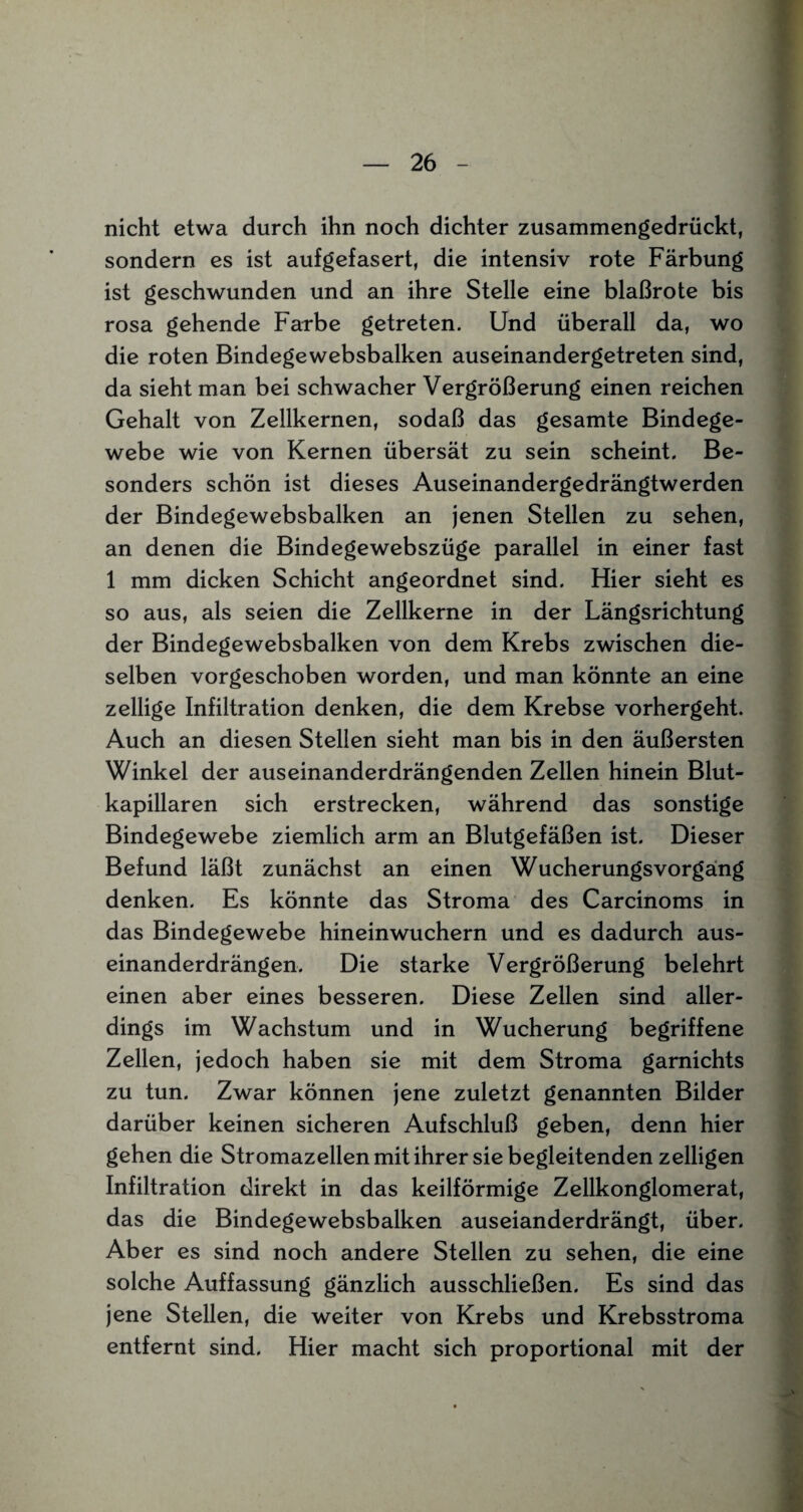nicht etwa durch ihn noch dichter zusammengedrückt, sondern es ist aufgefasert, die intensiv rote Färbung ist geschwunden und an ihre Stelle eine blaßrote bis rosa gehende Farbe getreten. Und überall da, wo die roten Bindegewebsbalken auseinandergetreten sind, da sieht man bei schwacher Vergrößerung einen reichen Gehalt von Zellkernen, sodaß das gesamte Bindege¬ webe wie von Kernen übersät zu sein scheint. Be¬ sonders schön ist dieses Auseinandergedrängtwerden der Bindegewebsbalken an jenen Stellen zu sehen, an denen die Bindegewebszüge parallel in einer fast 1 mm dicken Schicht angeordnet sind. Hier sieht es so aus, als seien die Zellkerne in der Längsrichtung der Bindegewebsbalken von dem Krebs zwischen die¬ selben vorgeschoben worden, und man könnte an eine zellige Infiltration denken, die dem Krebse vorhergeht. Auch an diesen Stellen sieht man bis in den äußersten Winkel der auseinanderdrängenden Zellen hinein Blut¬ kapillaren sich erstrecken, während das sonstige Bindegewebe ziemlich arm an Blutgefäßen ist. Dieser Befund läßt zunächst an einen WucherungsVorgang denken. Es könnte das Stroma des Carcinoms in das Bindegewebe hineinwuchern und es dadurch aus¬ einanderdrängen. Die starke Vergrößerung belehrt einen aber eines besseren. Diese Zellen sind aller¬ dings im Wachstum und in Wucherung begriffene Zellen, jedoch haben sie mit dem Stroma garnichts zu tun. Zwar können jene zuletzt genannten Bilder darüber keinen sicheren Aufschluß geben, denn hier gehen die Stromazellen mit ihrer sie begleitenden zelligen Infiltration direkt in das keilförmige Zellkonglomerat, das die Bindegewebsbalken auseianderdrängt, über. Aber es sind noch andere Stellen zu sehen, die eine solche Auffassung gänzlich ausschließen. Es sind das jene Stellen, die weiter von Krebs und Krebsstroma entfernt sind. Hier macht sich proportional mit der