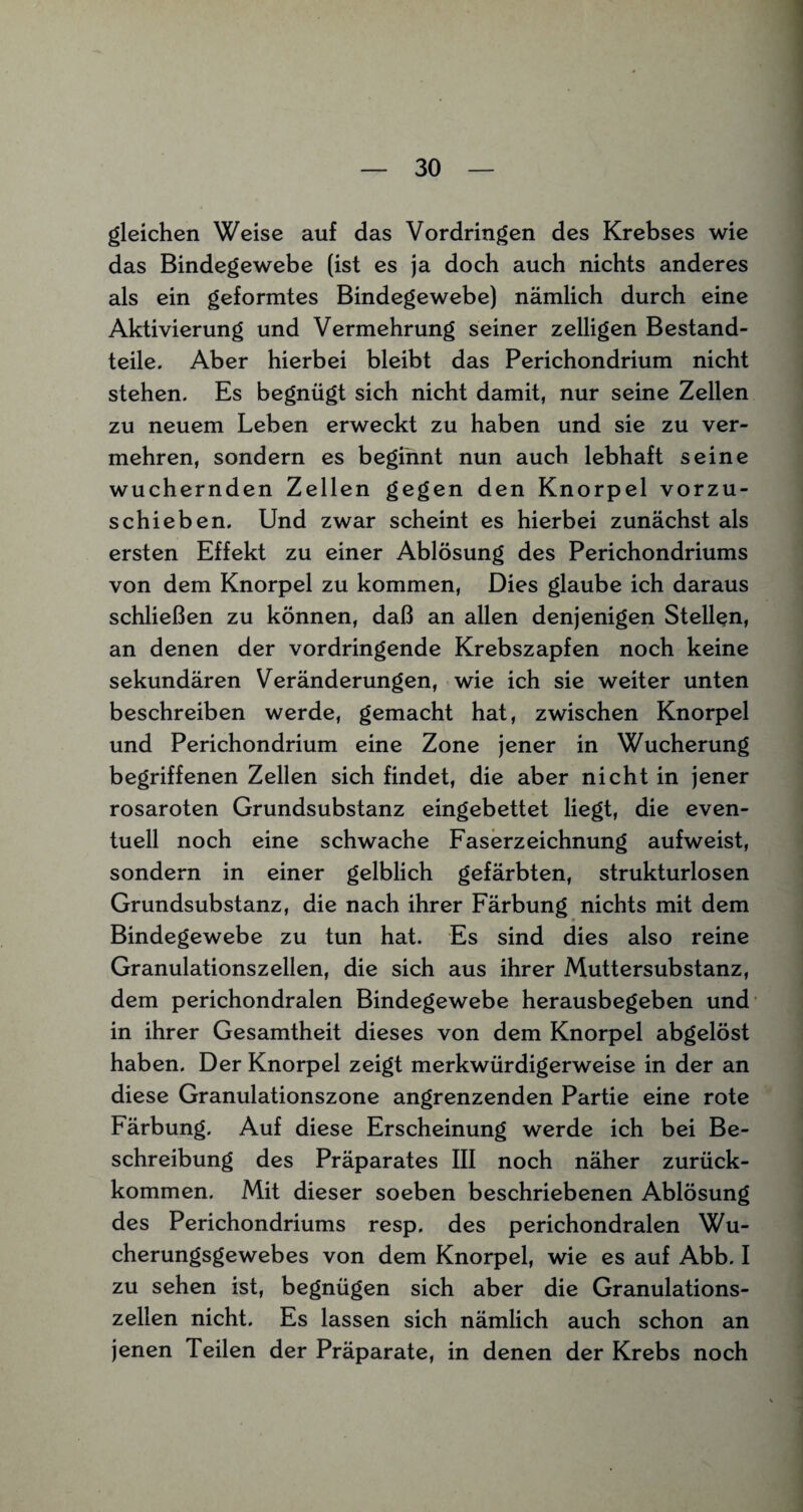 gleichen Weise auf das Vordringen des Krebses wie das Bindegewebe (ist es ja doch auch nichts anderes als ein geformtes Bindegewebe) nämlich durch eine Aktivierung und Vermehrung seiner zelligen Bestand¬ teile. Aber hierbei bleibt das Perichondrium nicht stehen. Es begnügt sich nicht damit, nur seine Zellen zu neuem Leben erweckt zu haben und sie zu ver¬ mehren, sondern es beginnt nun auch lebhaft seine wuchernden Zellen gegen den Knorpel vorzu¬ schieben. Und zwar scheint es hierbei zunächst als ersten Effekt zu einer Ablösung des Perichondriums von dem Knorpel zu kommen, Dies glaube ich daraus schließen zu können, daß an allen denjenigen Stellen, an denen der vordringende Krebszapfen noch keine sekundären Veränderungen, wie ich sie weiter unten beschreiben werde, gemacht hat, zwischen Knorpel und Perichondrium eine Zone jener in Wucherung begriffenen Zellen sich findet, die aber nicht in jener rosaroten Grundsubstanz eingebettet liegt, die even¬ tuell noch eine schwache Faserzeichnung aufweist, sondern in einer gelblich gefärbten, strukturlosen Grundsubstanz, die nach ihrer Färbung nichts mit dem Bindegewebe zu tun hat. Es sind dies also reine Granulationszellen, die sich aus ihrer Muttersubstanz, dem perichondralen Bindegewebe herausbegeben und in ihrer Gesamtheit dieses von dem Knorpel abgelöst haben. Der Knorpel zeigt merkwürdigerweise in der an diese Granulationszone angrenzenden Partie eine rote Färbung. Auf diese Erscheinung werde ich bei Be¬ schreibung des Präparates III noch näher zurück¬ kommen. Mit dieser soeben beschriebenen Ablösung des Perichondriums resp. des perichondralen Wu¬ cherungsgewebes von dem Knorpel, wie es auf Abb. I zu sehen ist, begnügen sich aber die Granulations¬ zellen nicht. Es lassen sich nämlich auch schon an jenen Teilen der Präparate, in denen der Krebs noch