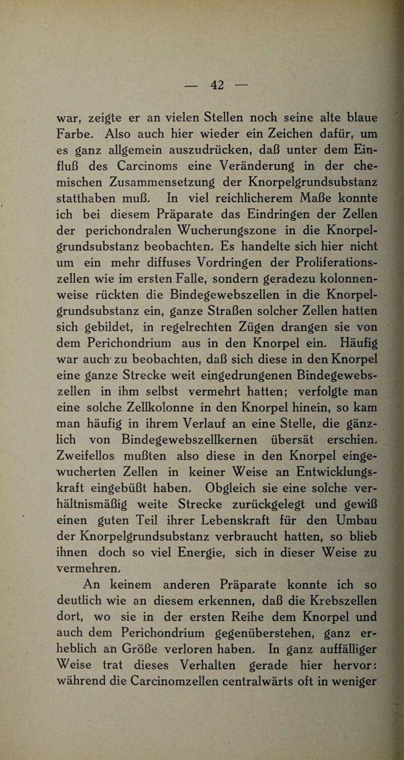 war, zeigte er an vielen Stellen noch seine alte blaue Farbe. Also auch hier wieder ein Zeichen dafür, um es ganz allgemein auszudrücken, daß unter dem Ein¬ fluß des Carcinoms eine Veränderung in der che¬ mischen Zusammensetzung der Knorpelgrundsubstanz statthaben muß. In viel reichlicherem Maße konnte ich bei diesem Präparate das Eindringen der Zellen der perichondralen Wucherungszone in die Knorpel¬ grundsubstanz beobachten. Es handelte sich hier nicht um ein mehr diffuses Vordringen der Proliferations¬ zellen wie im ersten Falle, sondern geradezu kolonnen¬ weise rückten die Bindegewebszellen in die Knorpel¬ grundsubstanz ein, ganze Straßen solcher Zellen hatten sich gebildet, in regelrechten Zügen drangen sie von dem Perichondrium aus in den Knorpel ein. Häufig war auch zu beobachten, daß sich diese in den Knorpel eine ganze Strecke weit eingedrungenen Bindegewebs¬ zellen in ihm selbst vermehrt hatten; verfolgte man eine solche Zellkolonne in den Knorpel hinein, so kam man häufig in ihrem Verlauf an eine Stelle, die gänz¬ lich von Bindegewebszellkernen übersät erschien. Zweifellos mußten also diese in den Knorpel einge¬ wucherten Zellen in keiner Weise an Entwicklungs¬ kraft eingebüßt haben. Obgleich sie eine solche ver¬ hältnismäßig weite Strecke zurückgelegt und gewiß einen guten Teil ihrer Lebenskraft für den Umbau der Knorpelgrundsubstanz verbraucht hatten, so blieb ihnen doch so viel Energie, sich in dieser Weise zu vermehren. An keinem anderen Präparate konnte ich so deutlich wie an diesem erkennen, daß die Krebszellen dort, wo sie in der ersten Reihe dem Knorpel und auch dem Perichondrium gegenüberstehen, ganz er¬ heblich an Größe verloren haben. In ganz auffälliger Weise trat dieses Verhalten gerade hier hervor: während die Carcinomzellen centralwärts oft in weniger