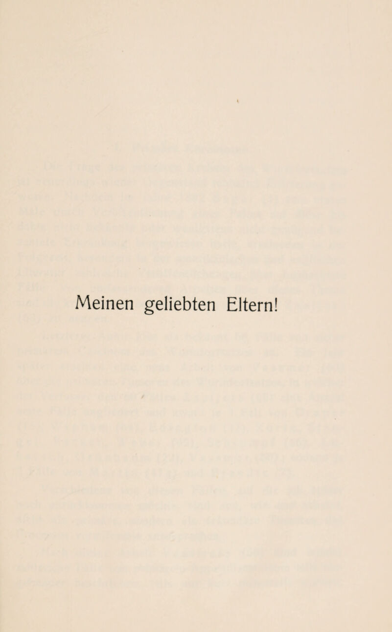 Meinen geliebten Eltern!