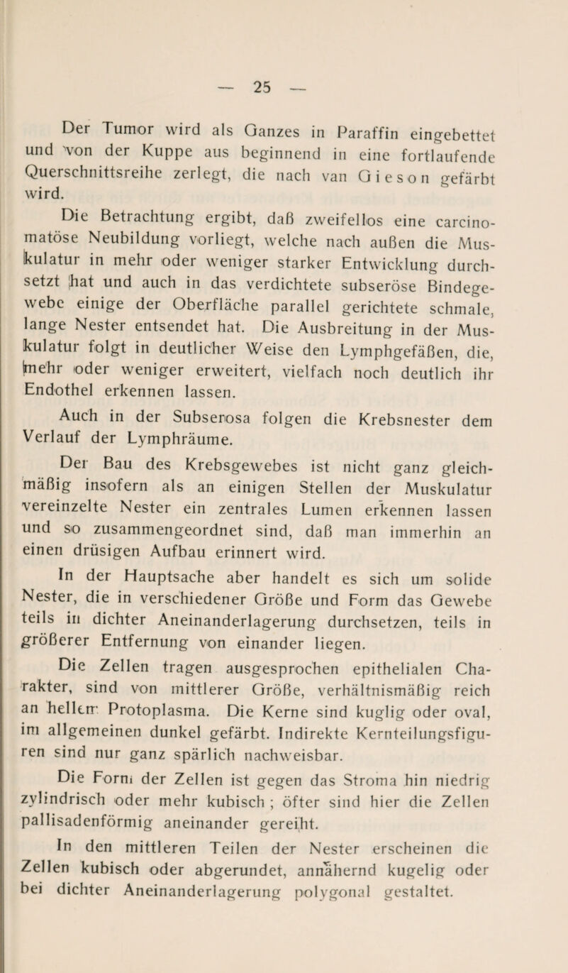 Der Tumor wird als Ganzes in Paraffin eingebettet und 'von der Kuppe aus beginnend in eine fortlaufende Querschnittsreihe zerlegt, die nach van Oieson gefärbt wird. Die Betrachtung ergibt, daß zweifellos eine carcino- matöse Neubildung vorliegt, welche nach außen die Mus¬ kulatur in mehr oder weniger starker Entwicklung durch¬ setzt hat und auch in das verdichtete subseröse Bindege¬ webe einige der Oberfläche parallel gerichtete schmale, lange Nester entsendet hat. Die Ausbreitung in der Mus¬ kulatur folgt in deutlicher Weise den Lymphgefäßen, die, (mehr oder weniger erweitert, vielfach noch deutlich ihr Endothel erkennen lassen. Auch in der Subserosa folgen die Krebsnester dem Verlauf der Lymphräume. Der Bau des Krebsgewebes ist nicht ganz gleich¬ mäßig insofern als an einigen Stellen der Muskulatur vereinzelte Nester ein zentrales Lumen erkennen lassen und so zusammengeordnet sind, daß man immerhin an einen drüsigen Aufbau erinnert wird. In der Hauptsache aber handelt es sich um solide Nester, die in verschiedener Größe und Form das Gewebe teils in dichter Aneinanderlagerung durchsetzen, teils in größerer Entfernung von einander liegen. Die Zellen tragen ausgesprochen epithelialen Cha¬ rakter, sind von mittlerer Größe, verhältnismäßig reich an hellem Protoplasma. Die Kerne sind kuglig oder oval, im allgemeinen dunkel gefärbt. Indirekte Kernteilungsfigu¬ ren sind nur ganz spärlich nachweisbar. Die Form der Zellen ist gegen das Stroma hin niedrig zylindrisch oder mehr kubisch ; öfter sind hier die Zellen pallisadenförmig aneinander gereiht. In den mittleren Teilen der Nester erscheinen die Zellen kubisch oder abgerundet, annähernd kugelig oder bei dichter Aneinanderlagerung polygonal gestaltet.