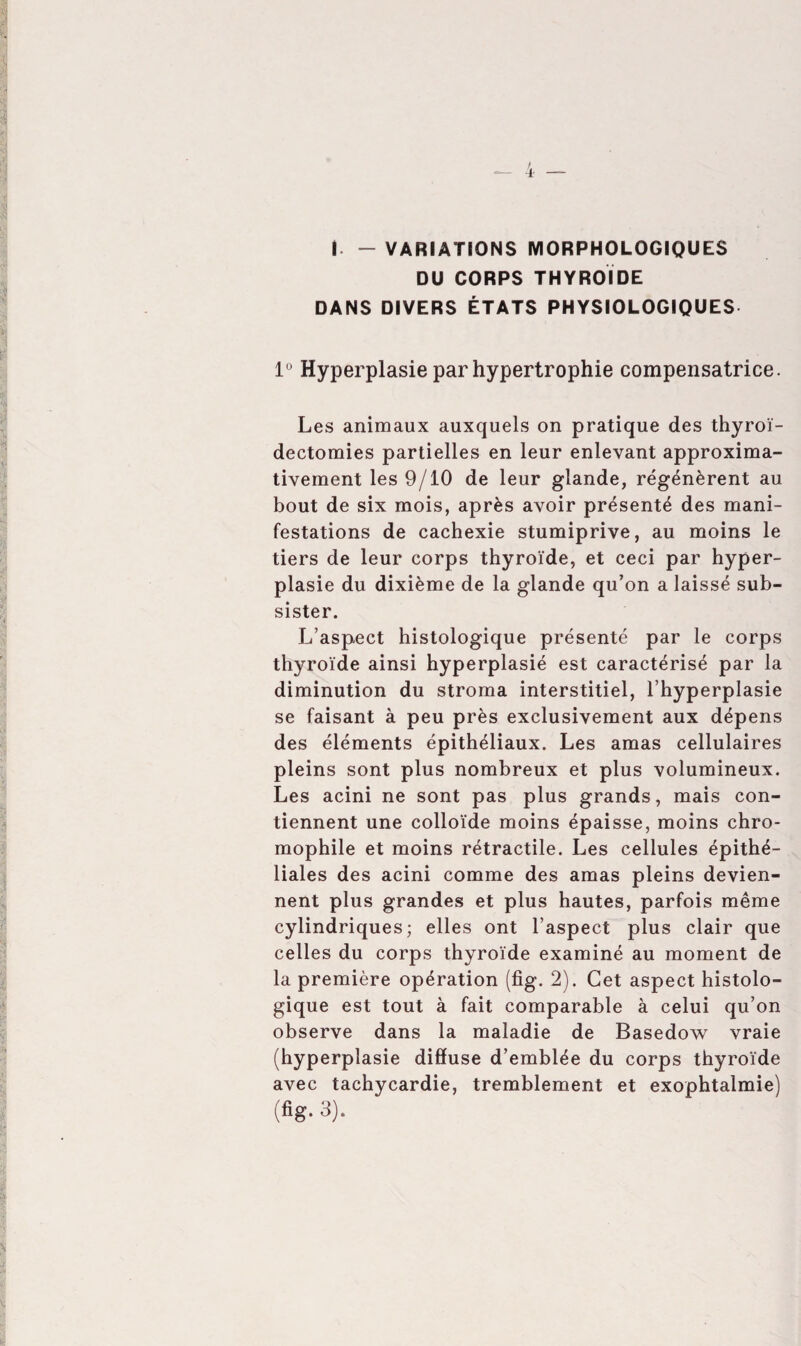 I - VARIATIONS MORPHOLOGIQUES DU CORPS THYROÏDE DANS DIVERS ÉTATS PHYSIOLOGIQUES lu Hyperplasie par hypertrophie compensatrice. Les animaux auxquels on pratique des thyroï¬ dectomies partielles en leur enlevant approxima¬ tivement les 9/10 de leur glande, régénèrent au bout de six mois, après avoir présenté des mani¬ festations de cachexie stumiprive, au moins le tiers de leur corps thyroïde, et ceci par hyper¬ plasie du dixième de la glande qu’on a laissé sub¬ sister. L’aspect histologique présenté par le corps thyroïde ainsi hyperplasié est caractérisé par la diminution du stroma interstitiel, l’hyperplasie se faisant à peu près exclusivement aux dépens des éléments épithéliaux. Les amas cellulaires pleins sont plus nombreux et plus volumineux. Les acini ne sont pas plus grands, mais con¬ tiennent une colloïde moins épaisse, moins chro¬ mophile et moins rétractile. Les cellules épithé¬ liales des acini comme des amas pleins devien¬ nent plus grandes et plus hautes, parfois même cylindriques; elles ont l’aspect plus clair que celles du corps thyroïde examiné au moment de la première opération (fig. 2). Cet aspect histolo¬ gique est tout à fait comparable à celui qu’on observe dans la maladie de Basedow vraie (hyperplasie diffuse d’emblée du corps thyroïde avec tachycardie, tremblement et exophtalmie)