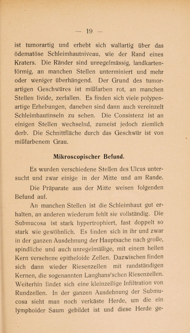ist tumorartig und erhebt sich wallartig über das ödematöse Schleimhautniveau, wie der Rand eines Kraters. Die Ränder sind unregelmässig, landkarten¬ förmig, an manchen Stellen unterminiert und mehr oder weniger überhängend. Der Grund des tumor¬ artigen Geschwüres ist mißfarben rot, an manchen Stellen livide, zerfallen. Es finden sich viele polypen¬ artige Erhebungen, daneben sind dann auch vereinzelt Schleimhautinseln zu sehen. Die Consistenz ist an einigen Stellen wechselnd, zumeist jedoch ziemlich derb. Die Schnittfläche durch das Geschwür ist von mißfarbenem Grau. Mikroscopischer Befund. Es wurden verschiedene Stellen des Ulcus unter¬ sucht und zwar einige in der Mitte und am Rande. Die Präparate aus der Mitte weisen folgenden Befund auf. An manchen Stellen ist die Schleimhaut gut er¬ halten, an anderen wiederum fehlt sie vollständig. Die Submucosa ist stark hypertrophiert, fast doppelt so stark wie gewöhnlich. Es finden sich in ihr und zwar in der ganzen Ausdehnung der Hauptsache nach große, spindliche und auch unregelmäßige, mit einem hellen Kern versehene epitheloide Zellen. Dazwischen finden sich dann wieder Riesenzellen mit randständigen Kernen, die sogenannten Langhans^schen Riesenzellen. Weiterhin findet sich eine kleinzellige Infiltration von Rundzellen. In der ganzen Ausdehnung der Submu¬ cosa sieht man noch verkäste Herde, um die ein lymphoider Saum gebildet ist und diese Herde ge-